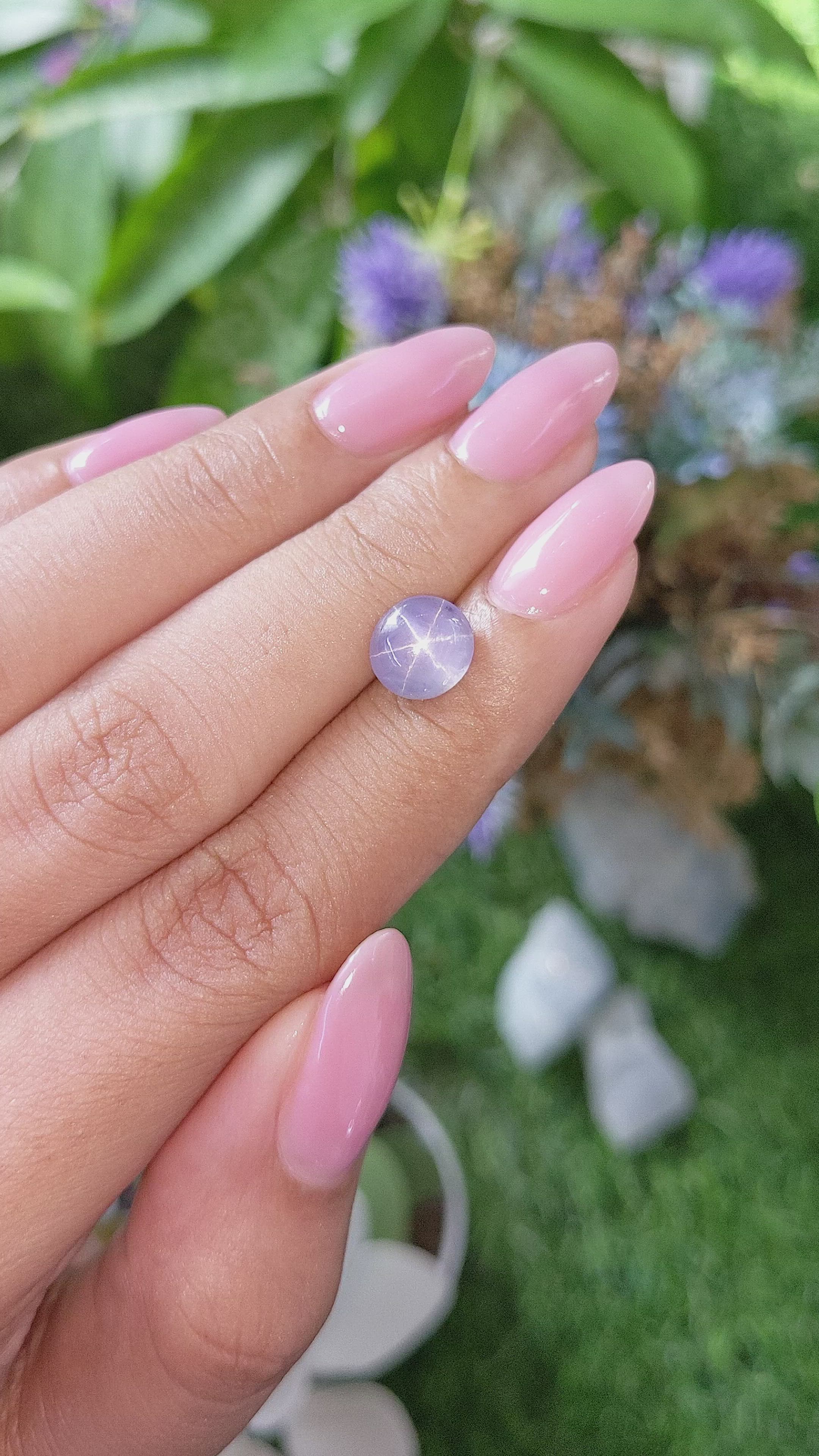 2.82 Ct. Bluish Purple Star Sapphire from Ceylon (Sri Lanka) Size Video