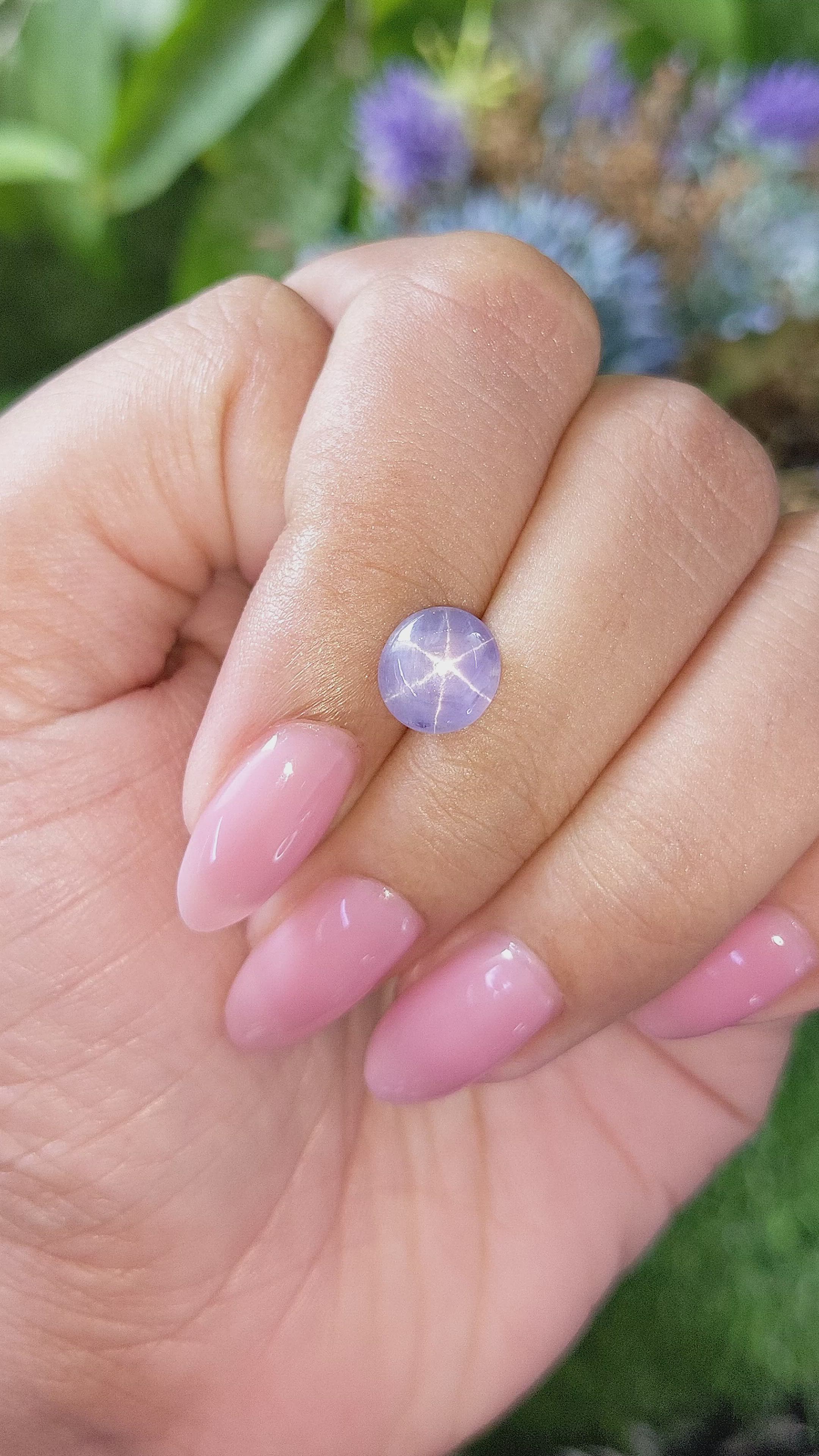 2.82 Ct. Bluish Purple Star Sapphire from Ceylon (Sri Lanka) Size Video