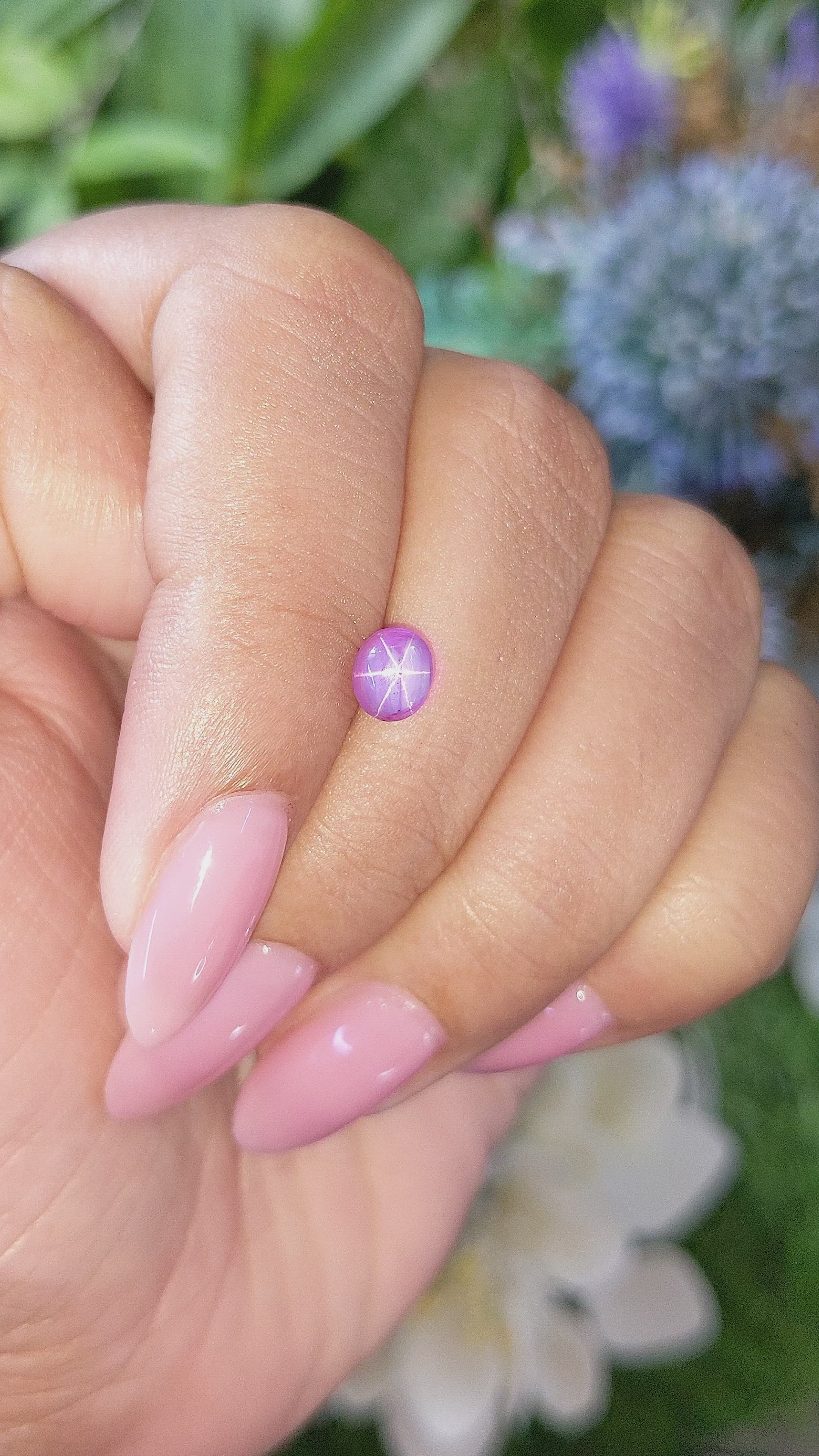 1.20 Ct. Purple Star Sapphire from Ceylon (Sri Lanka) Size Video