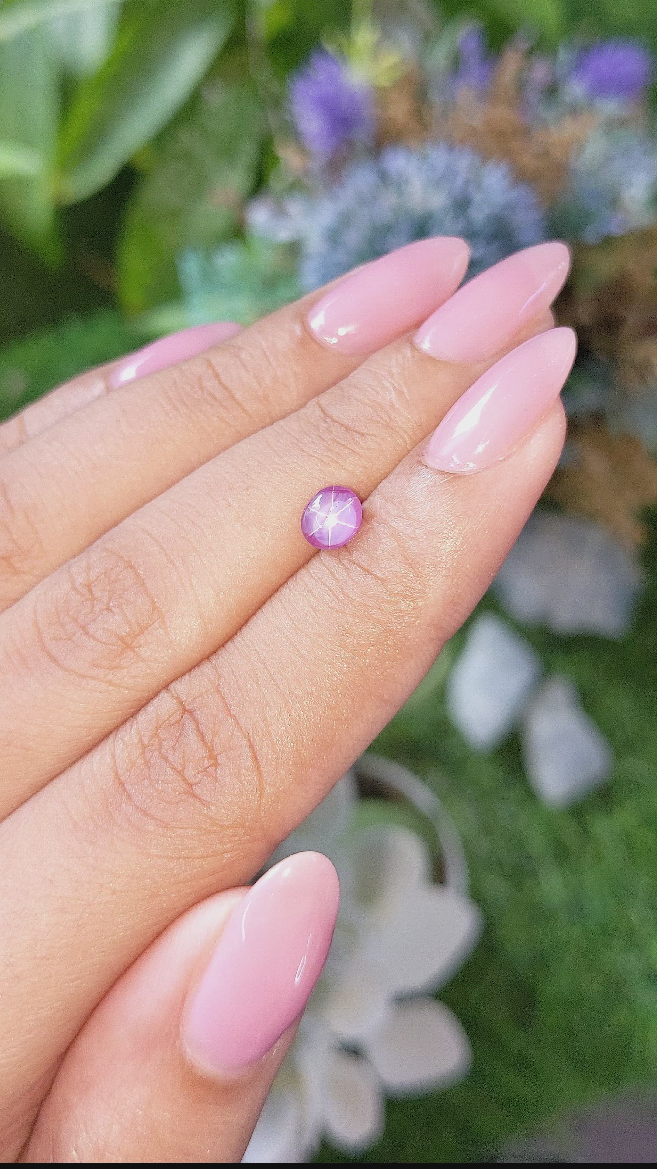 1.20 Ct. Purple Star Sapphire from Ceylon (Sri Lanka) Size Video