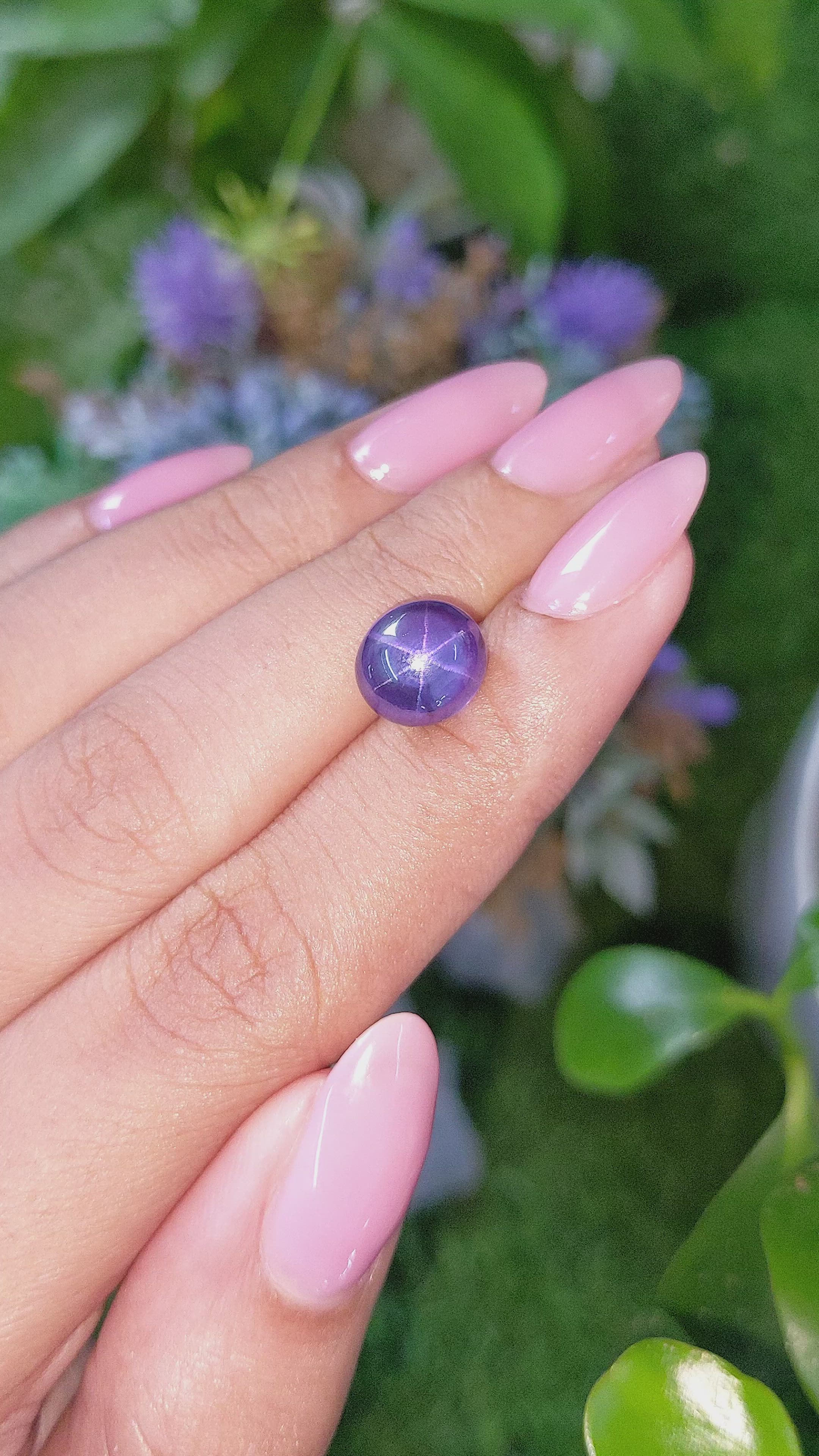 6.19 Ct. Purplish Blue Star Sapphire from Ceylon (Sri Lanka) Size Video