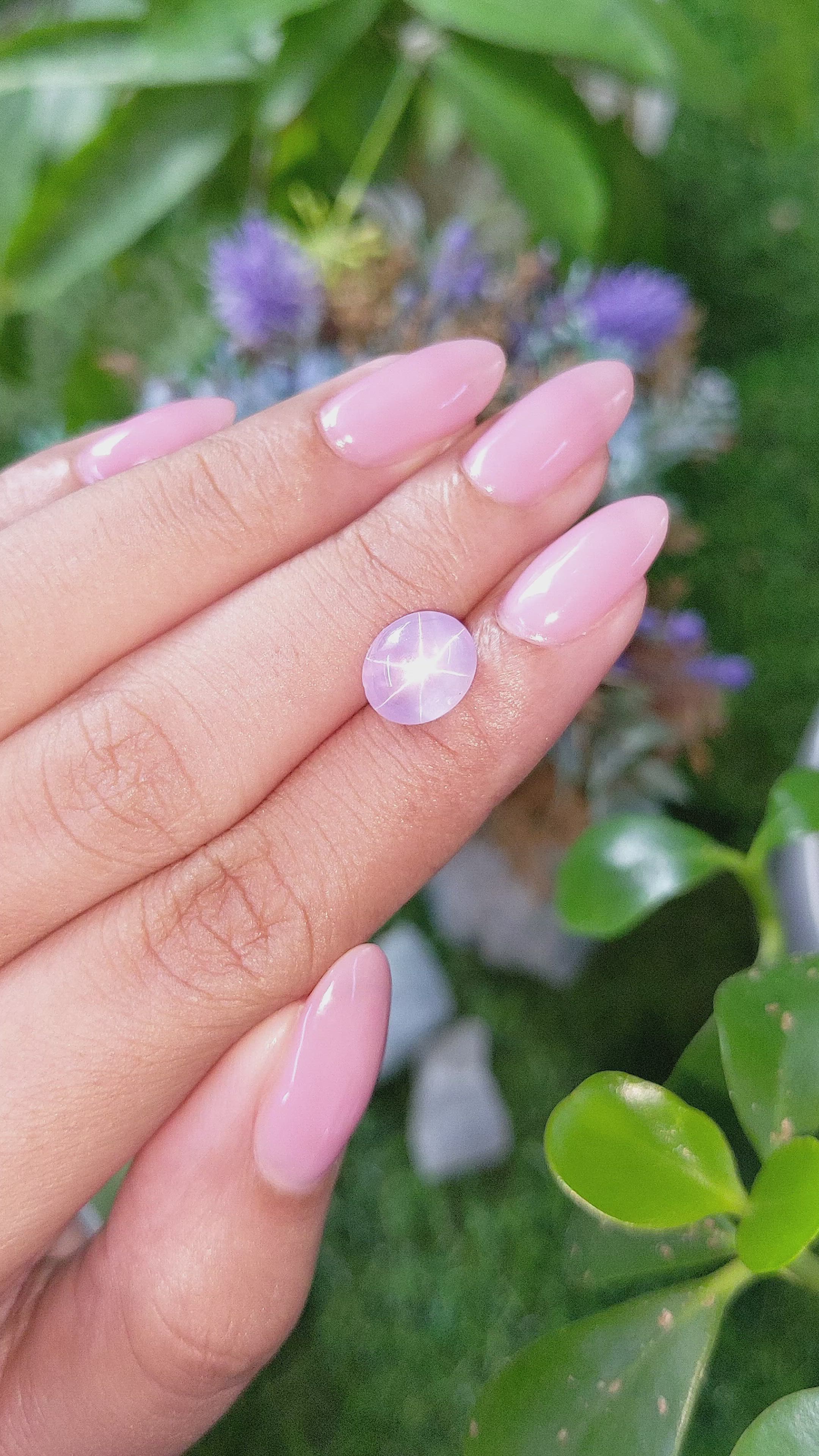 5.04 Ct. Purplish Pink Star Sapphire from Ceylon (Sri Lanka) Size Video