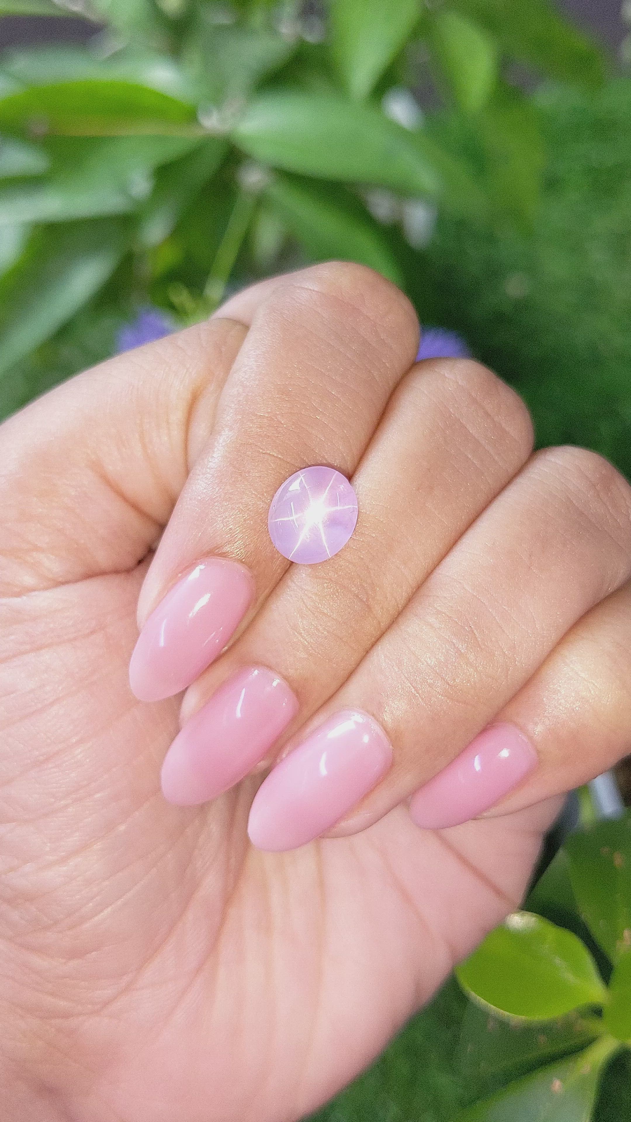 5.04 Ct. Purplish Pink Star Sapphire from Ceylon (Sri Lanka) Size Video