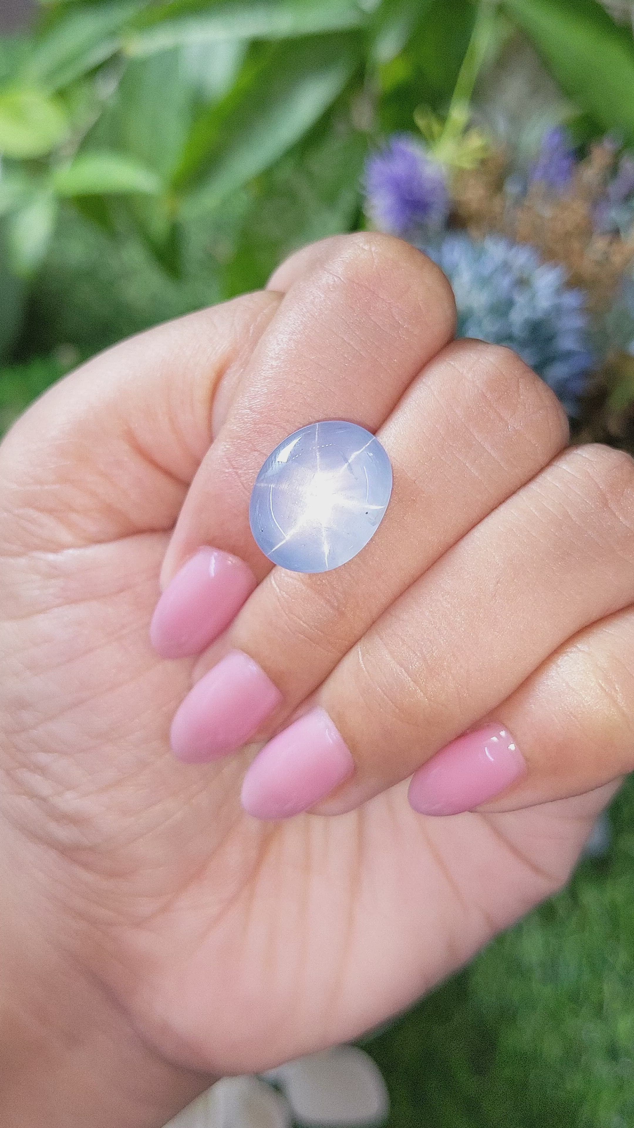 17.37 Ct. Blue Star Sapphire from Ceylon (Sri Lanka) Size Video