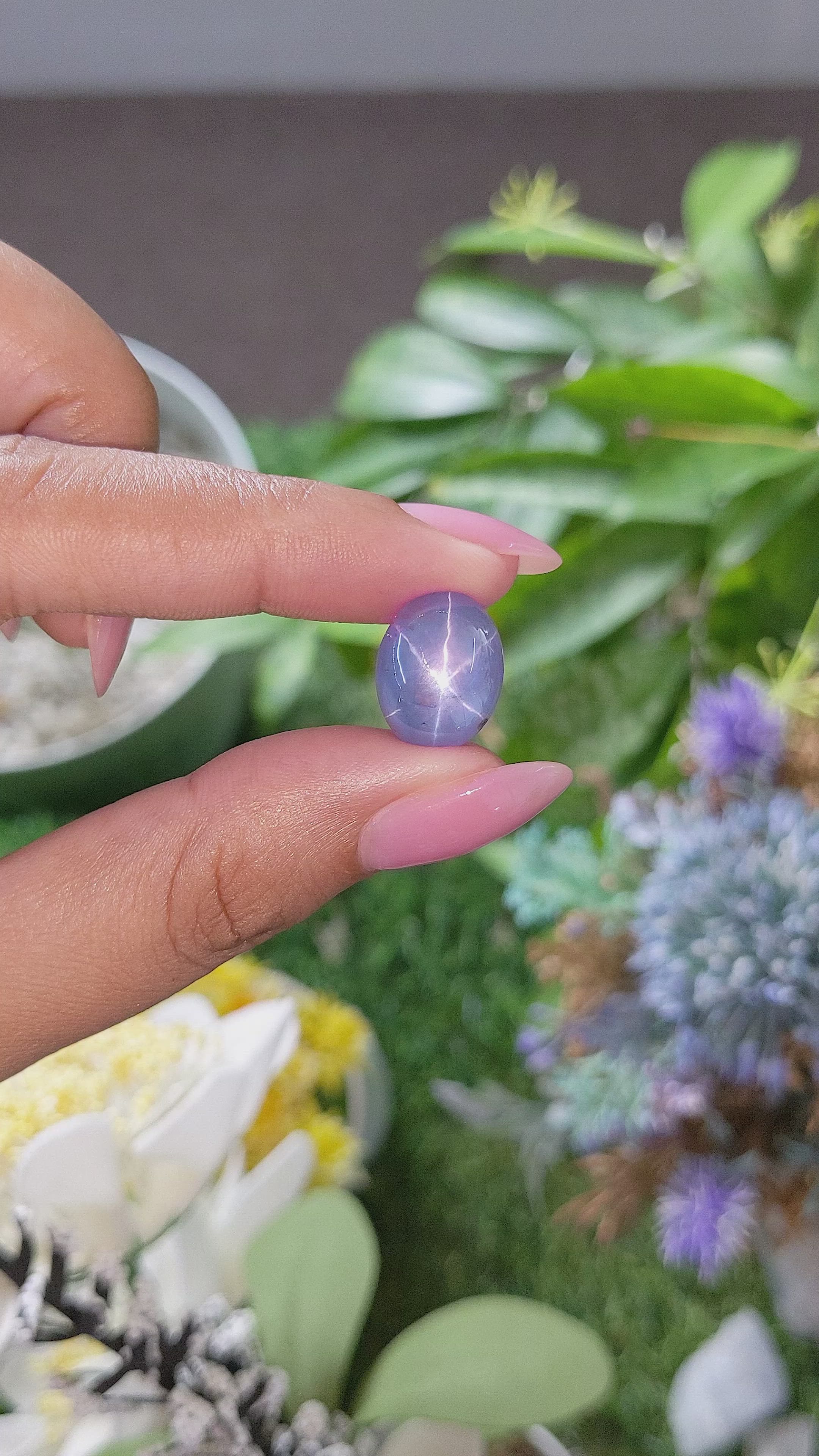 14.09 Ct. Purplish Blue Star Sapphire from Ceylon (Sri Lanka) Size Video
