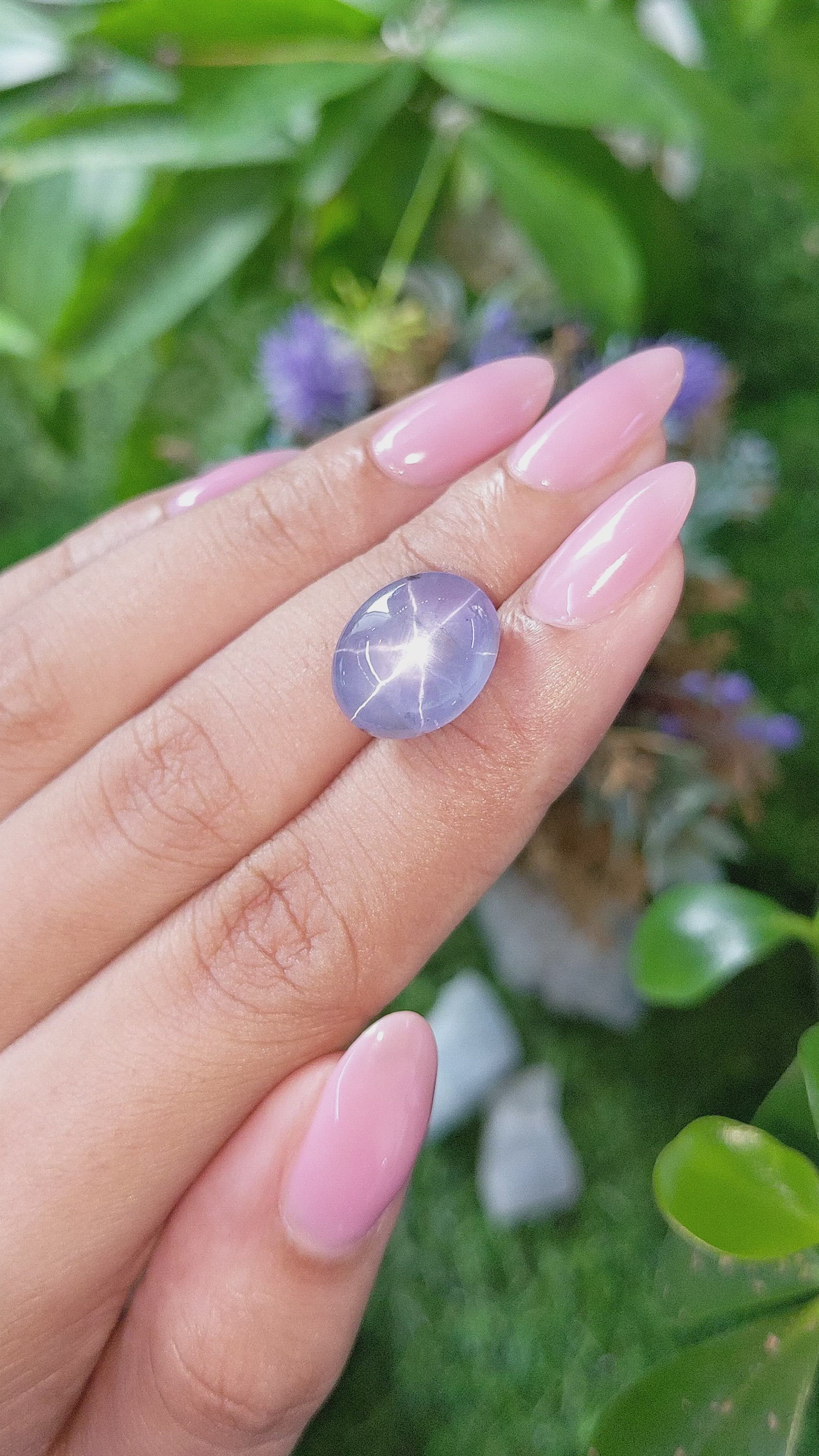 14.09 Ct. Purplish Blue Star Sapphire from Ceylon (Sri Lanka) Size Video