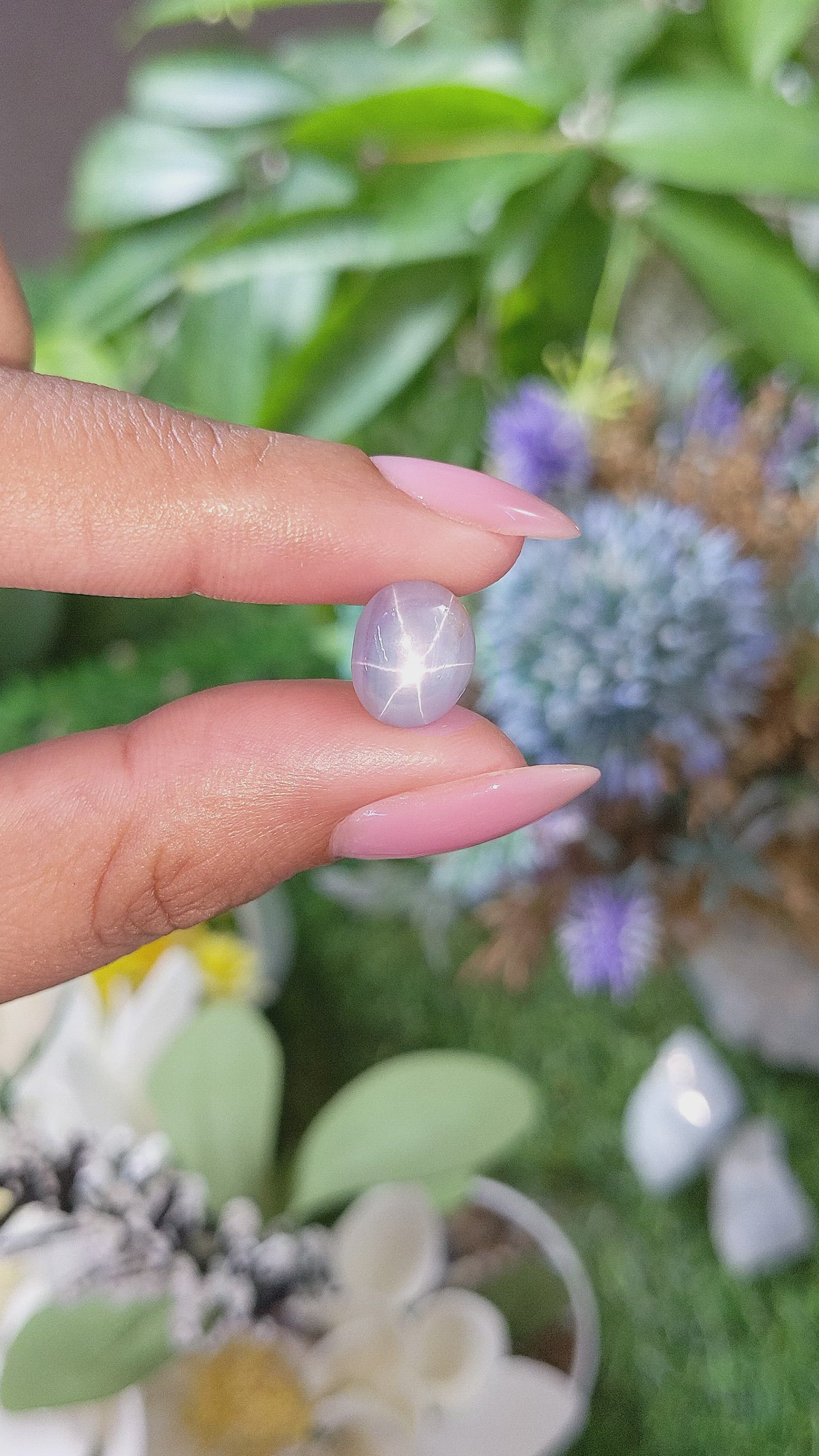 6.09 Ct. Bluish Grey Star Sapphire from Ceylon (Sri Lanka) Size Video