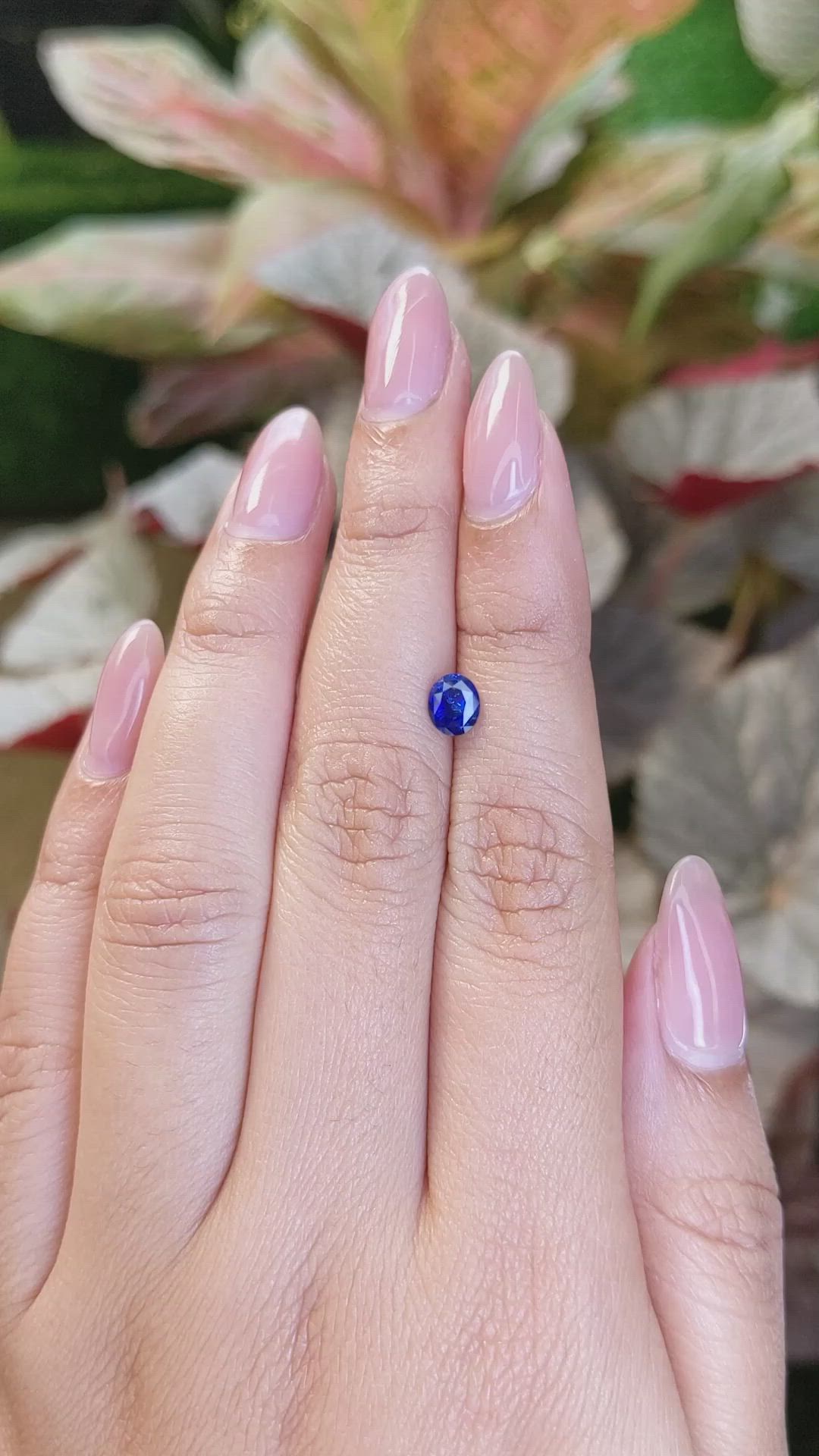 0.69 Ct. Blue Sapphire from Ceylon (Sri Lanka) Size Video