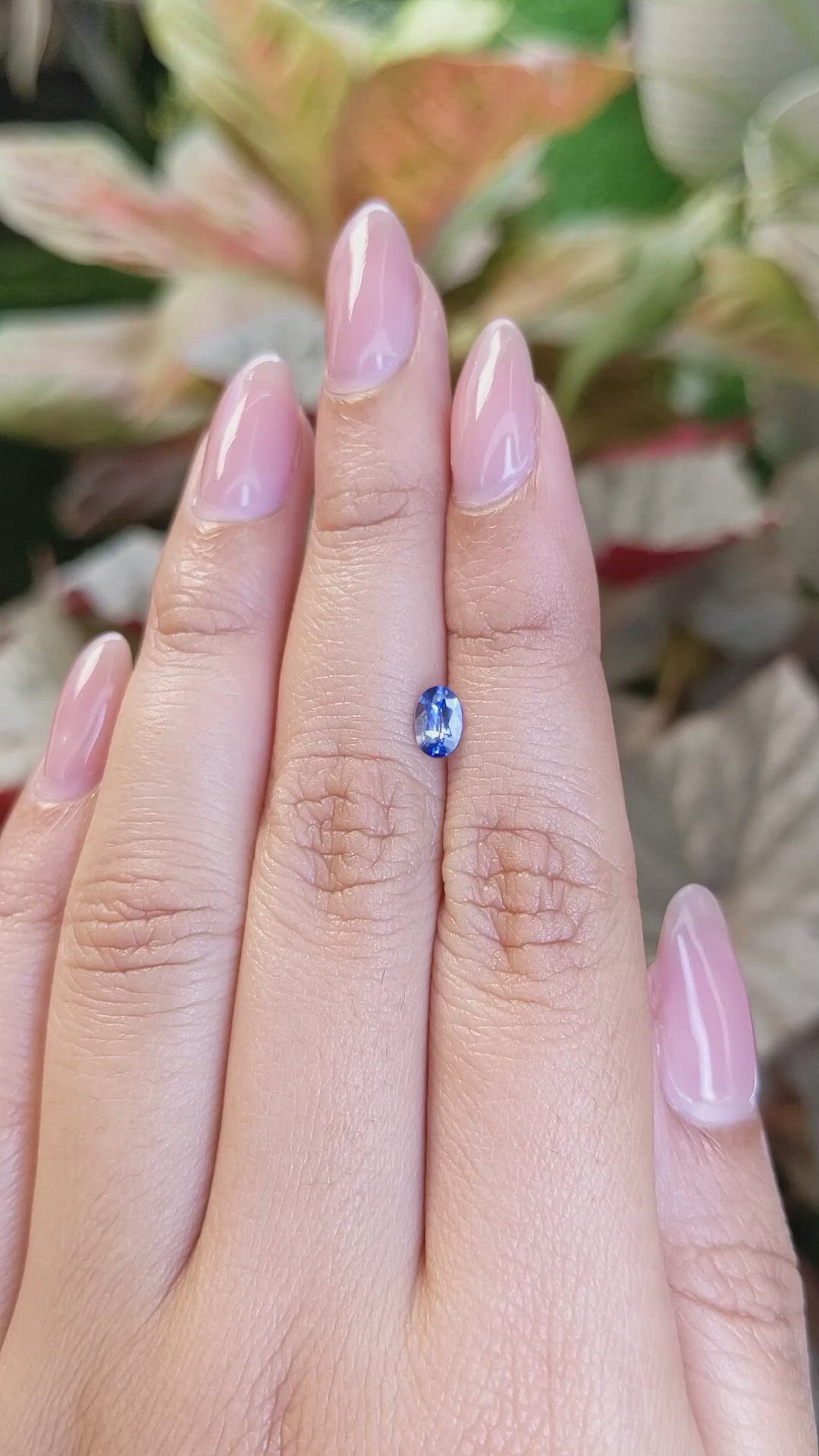 0.53 Ct. Blue Sapphire from Ceylon (Sri Lanka) Size Video