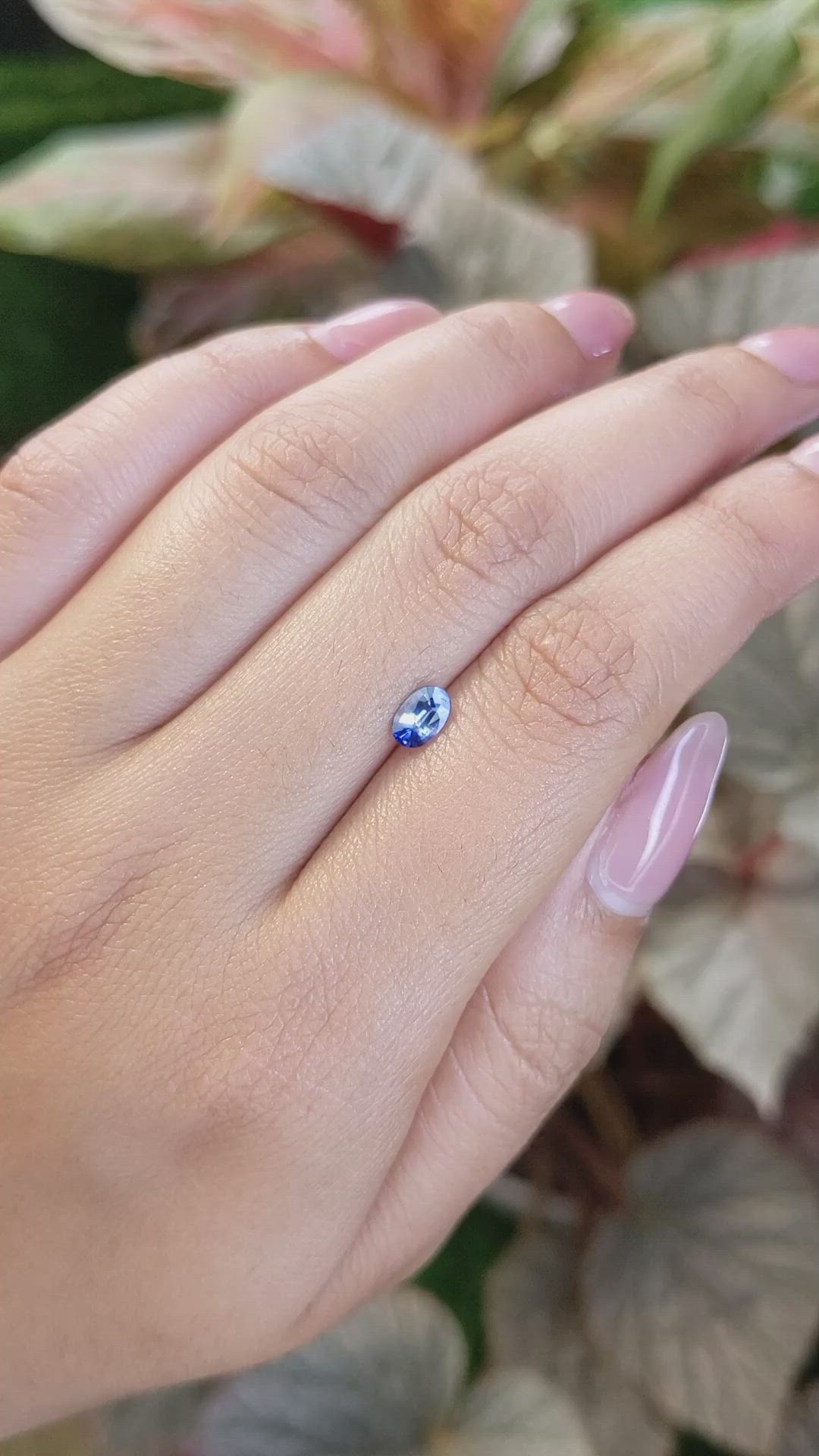0.53 Ct. Blue Sapphire from Ceylon (Sri Lanka) Size Video