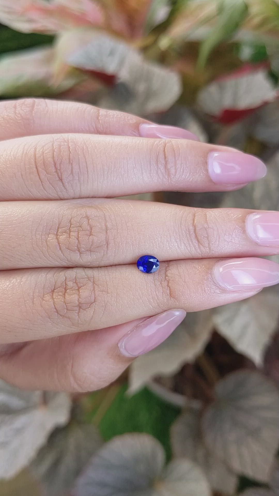 0.53 Ct. Blue Sapphire from Ceylon (Sri Lanka) Size Video