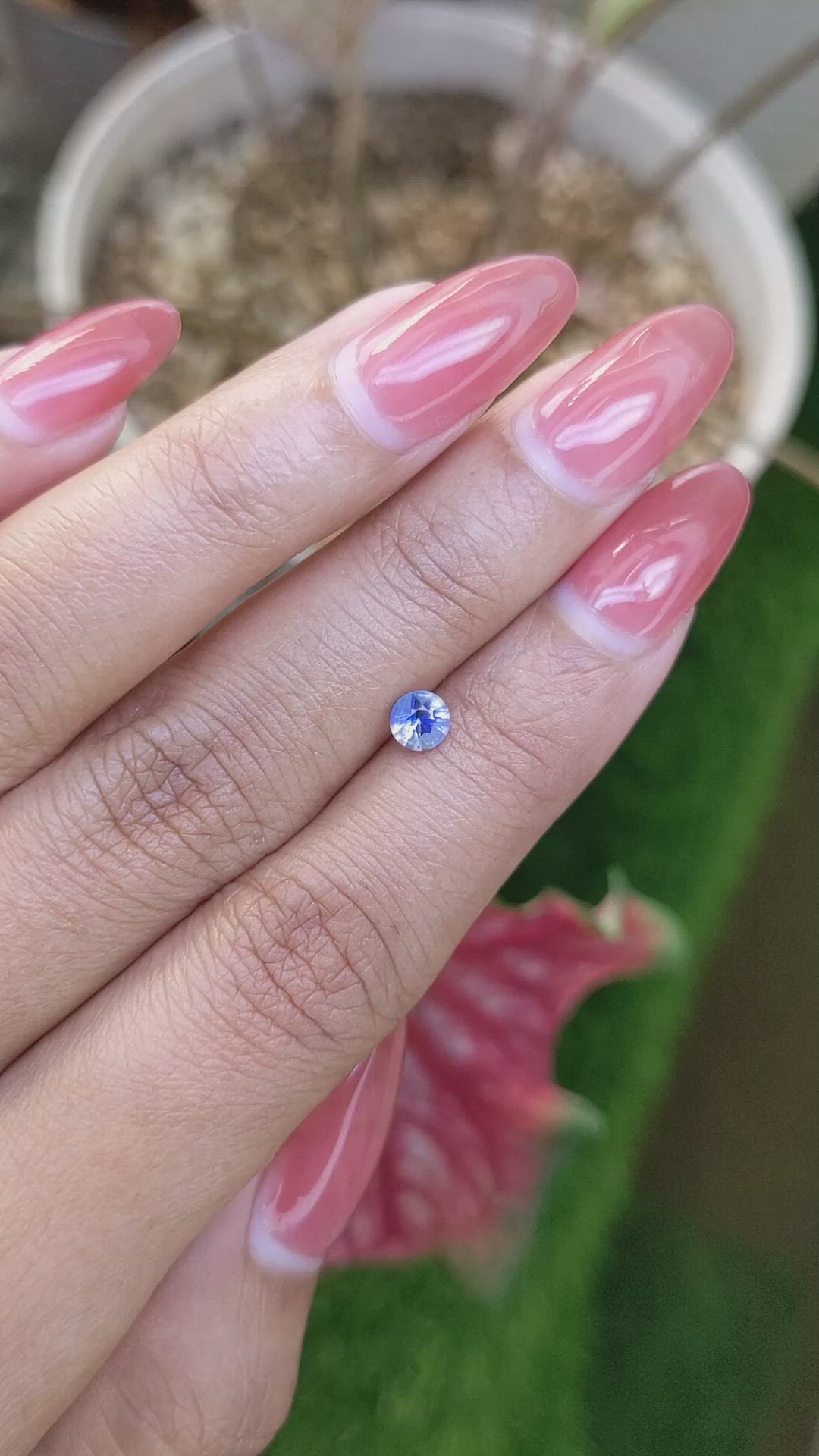 0.49 Ct. Bi Color / Parti Sapphire from Ceylon (Sri Lanka) Size Video