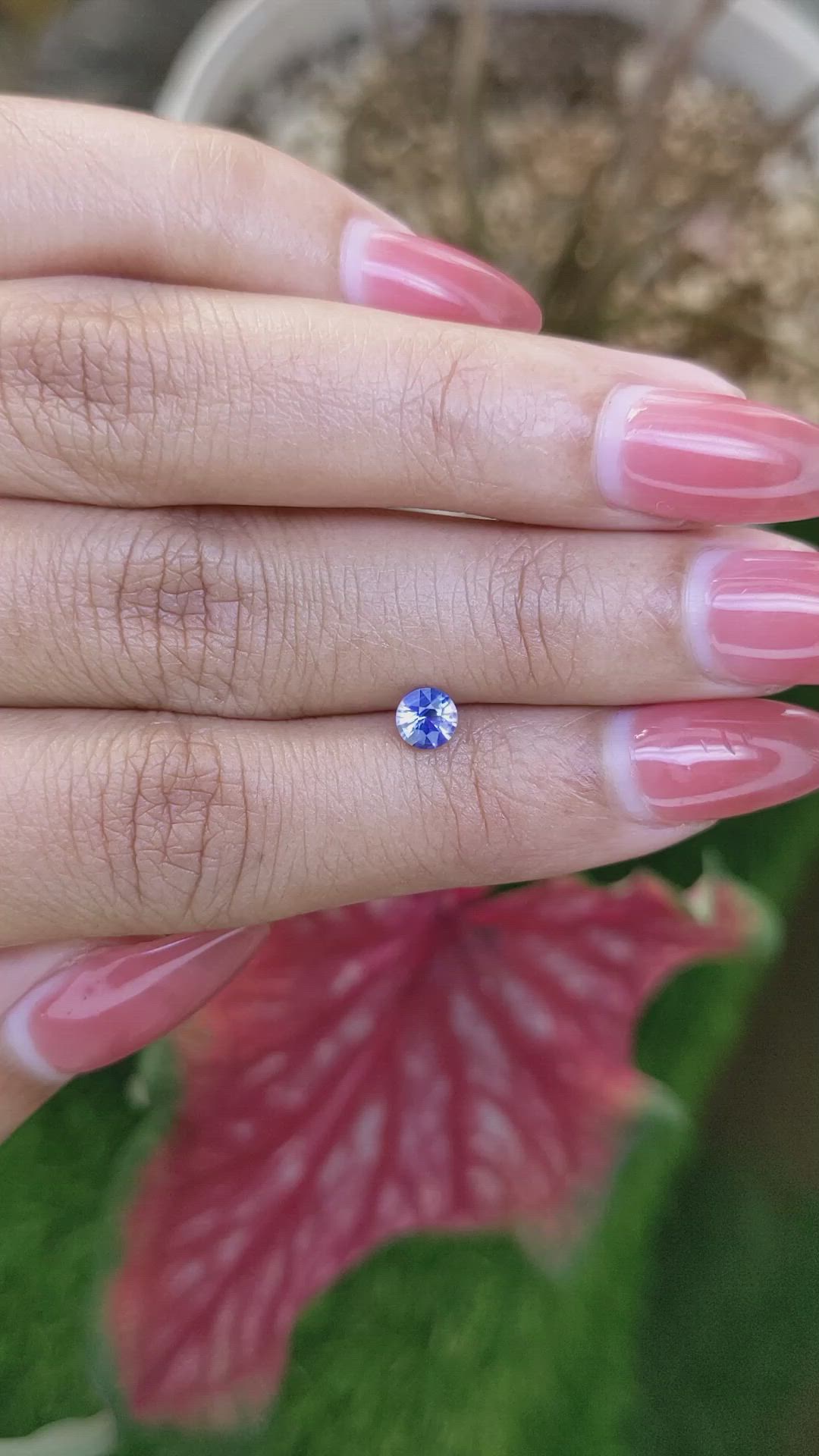 0.49 Ct. Bi Color / Parti Sapphire from Ceylon (Sri Lanka) Size Video