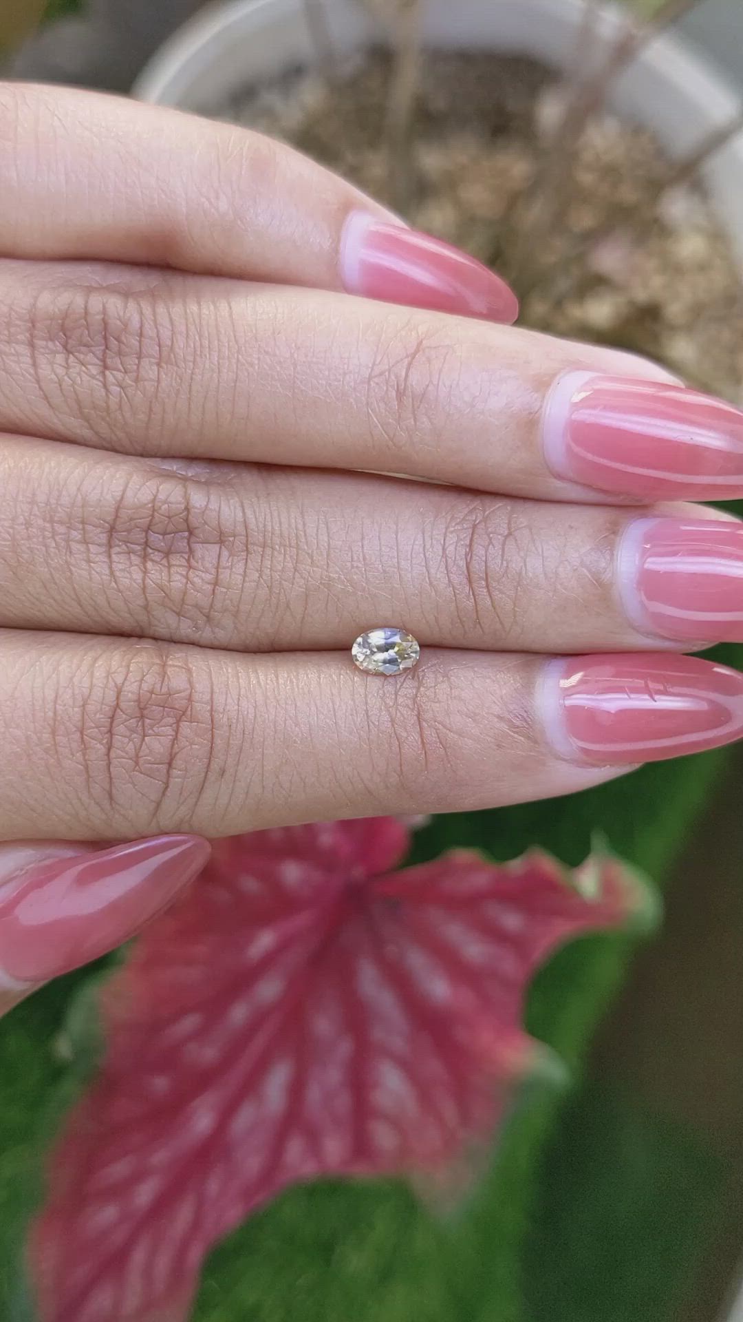0.45 Ct. Bi Color / Parti Sapphire from Ceylon (Sri Lanka) Size Video