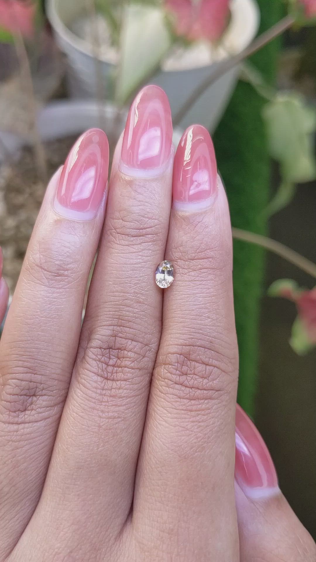 0.45 Ct. Bi Color / Parti Sapphire from Ceylon (Sri Lanka) Size Video
