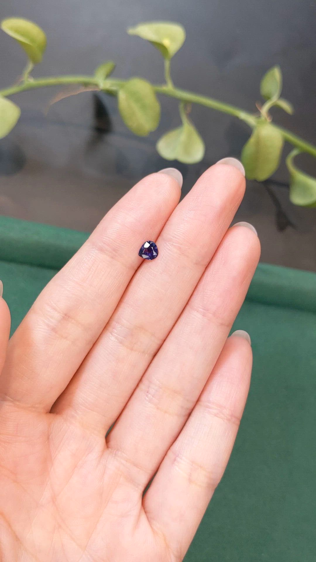 0.41 Ct. Purple Sapphire from Ceylon (Sri Lanka) Size Video