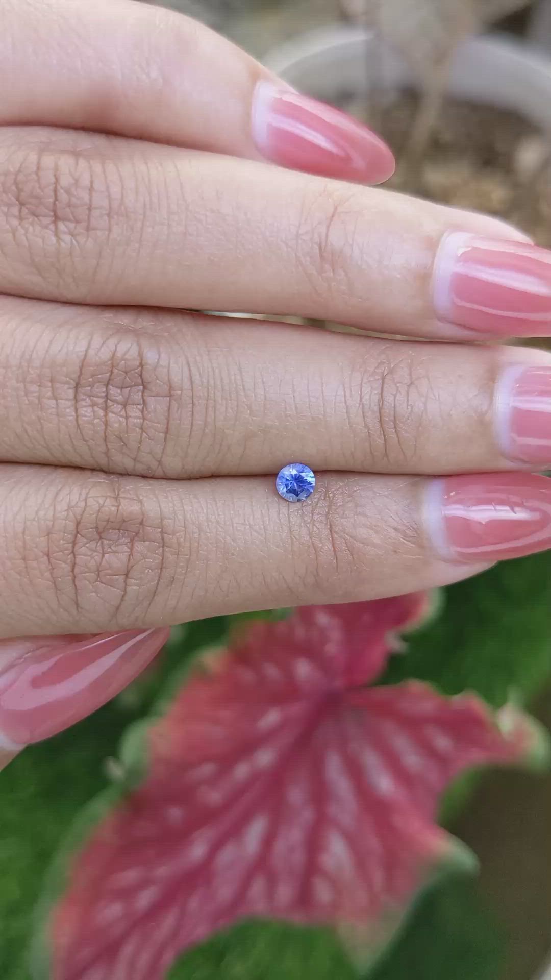 0.24 Ct. Blue Sapphire from Ceylon (Sri Lanka) Size Video
