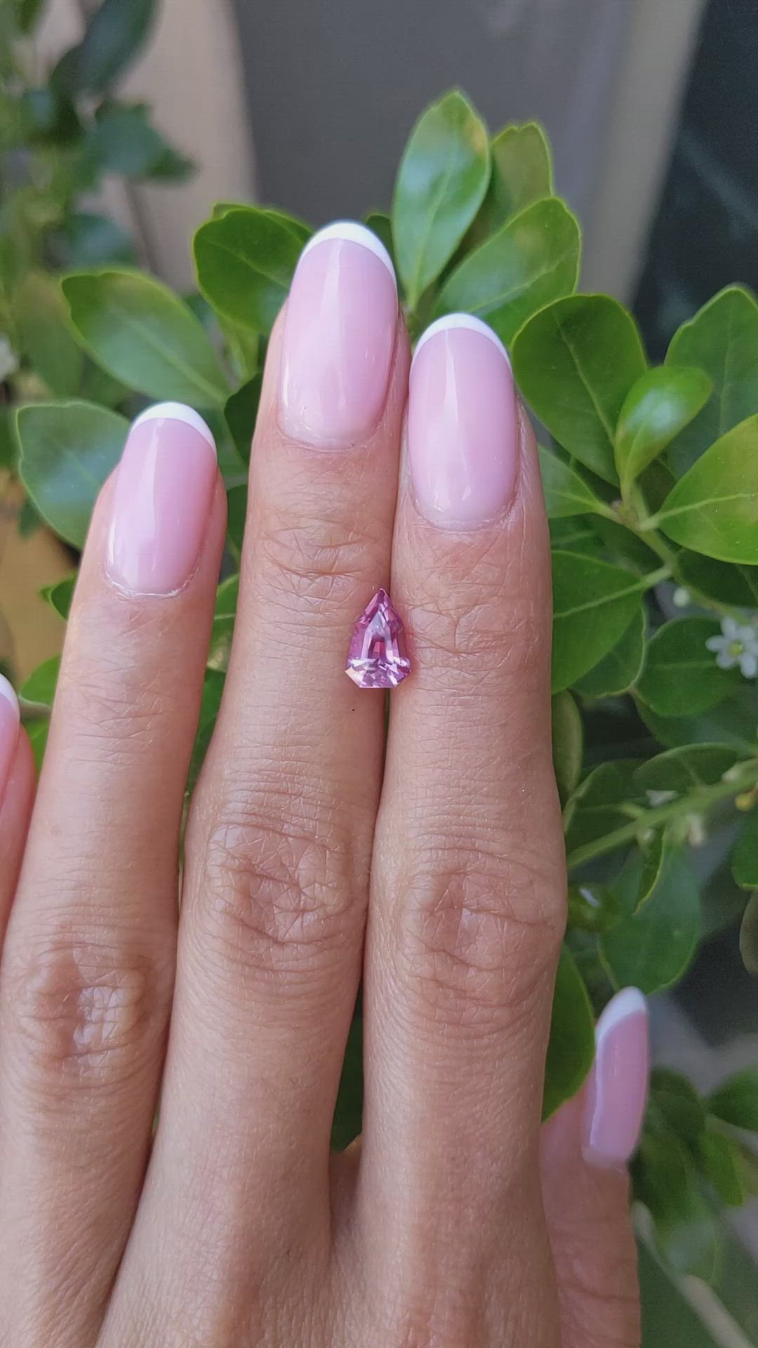 1.58 Ct. Pink Sapphire from Madagascar Size Video