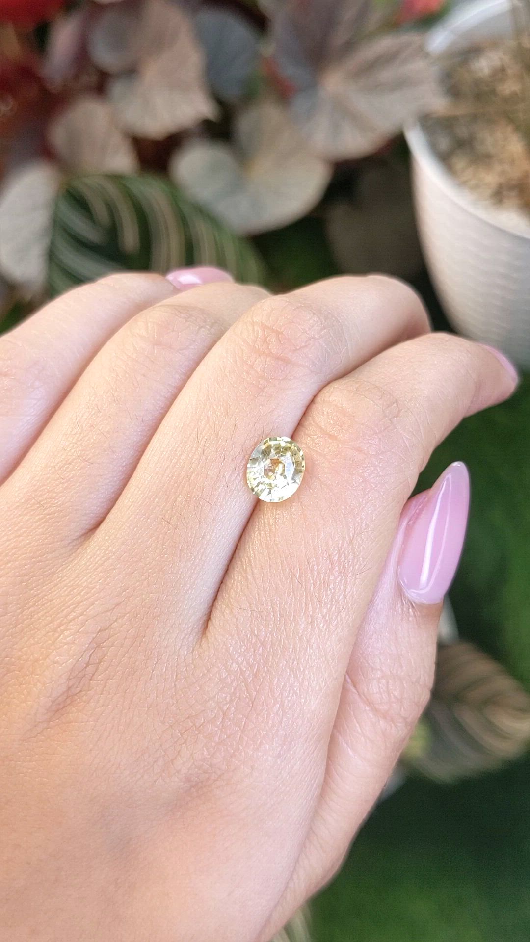 2.03 Ct. Yellow Sapphire from Ceylon (Sri Lanka) Size Video