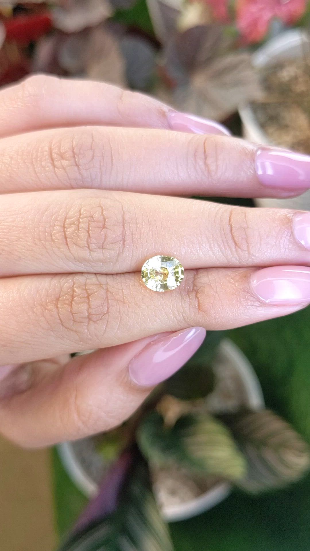 2.03 Ct. Yellow Sapphire from Ceylon (Sri Lanka) Size Video