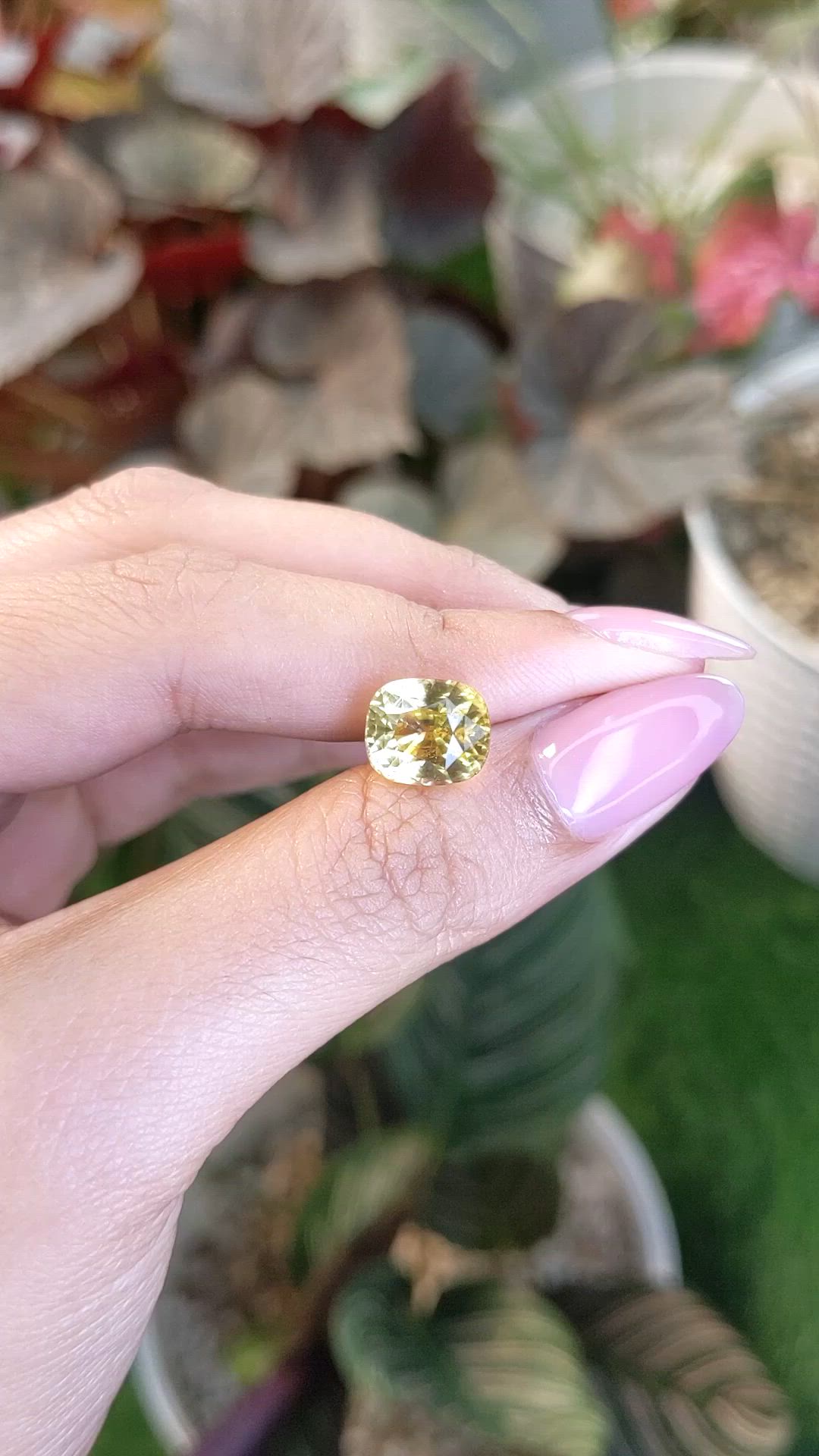 6.04 Ct. Yellow Sapphire from Ceylon (Sri Lanka) Size Video