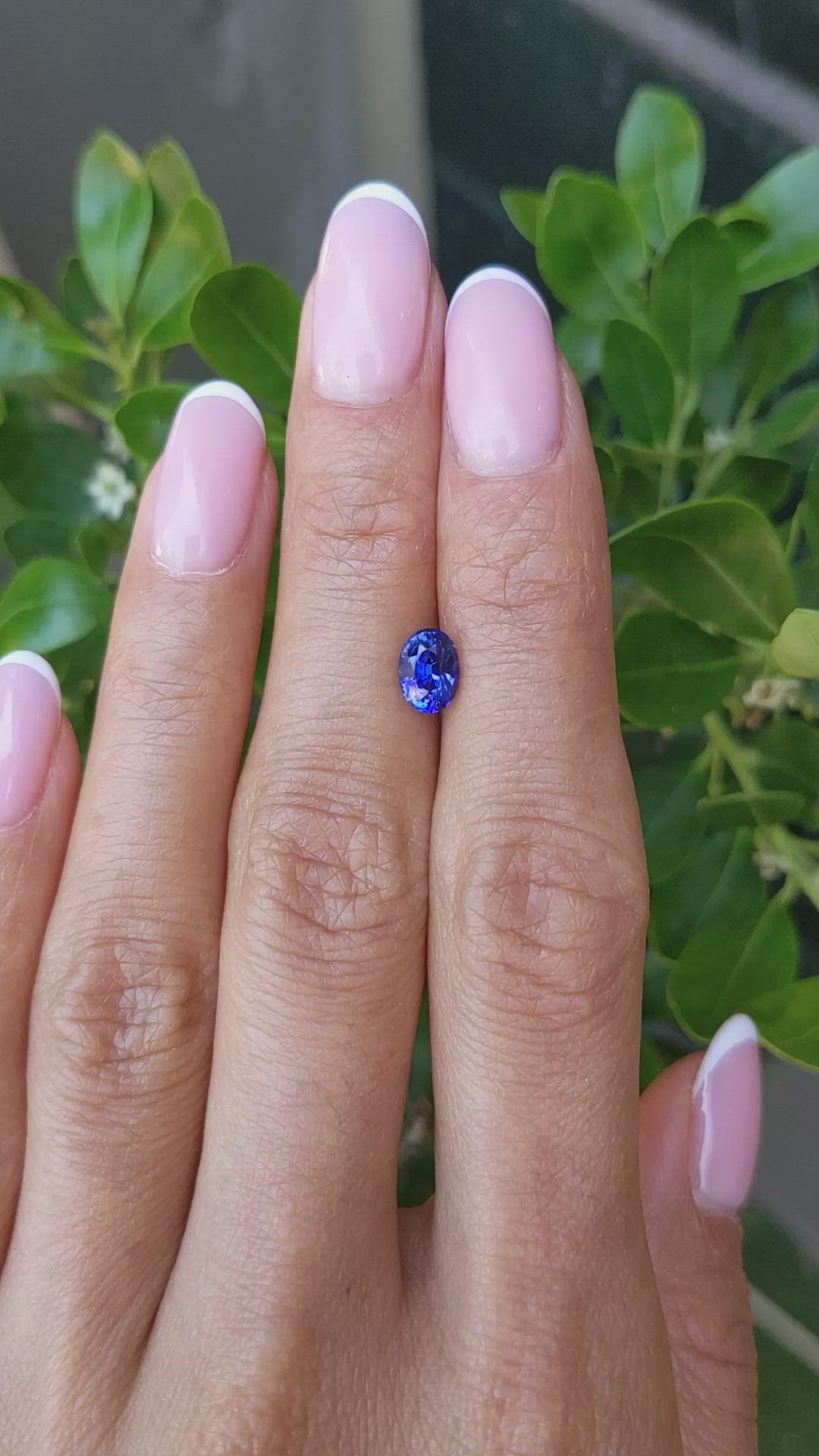 1.11 Ct. Blue Sapphire from Ceylon (Sri Lanka) Size Video