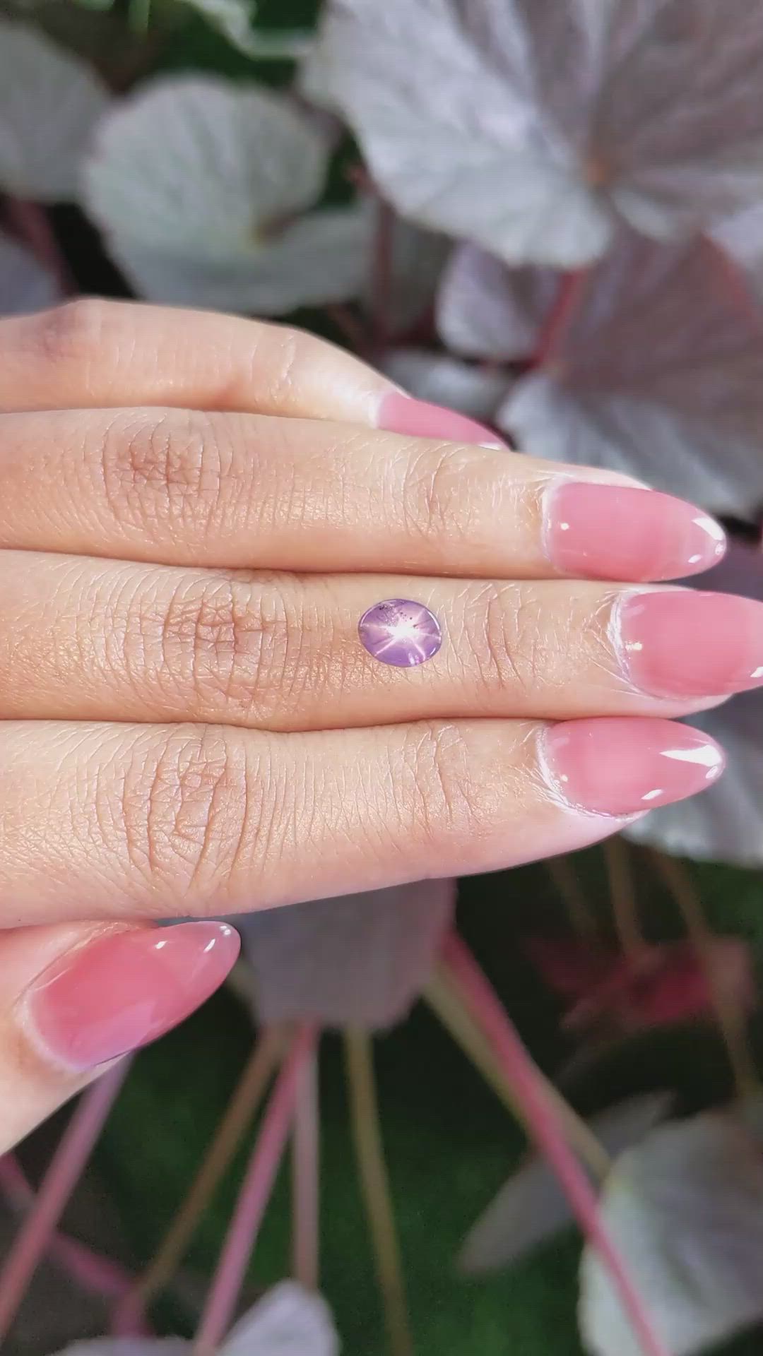 1.45 Ct. Pinkish Purple Star Sapphire from Ceylon (Sri Lanka) Size Video