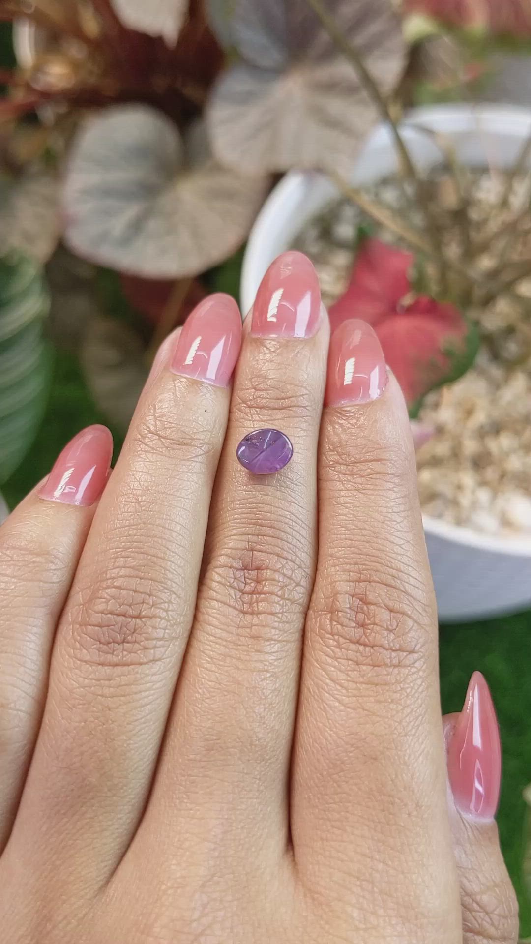 1.45 Ct. Pinkish Purple Star Sapphire from Ceylon (Sri Lanka) Size Video
