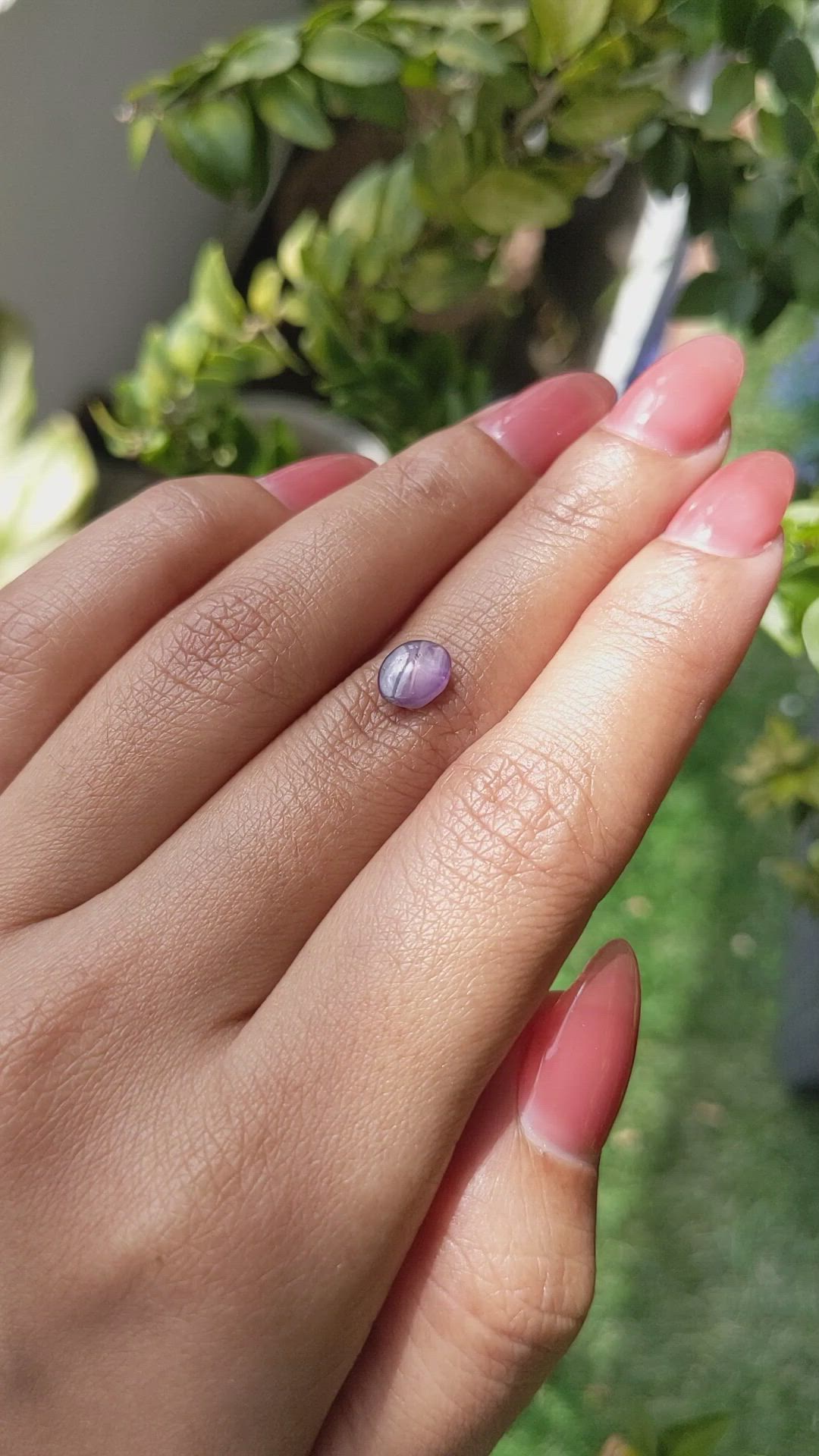 1.45 Ct. Pinkish Purple Star Sapphire from Ceylon (Sri Lanka) Size Video