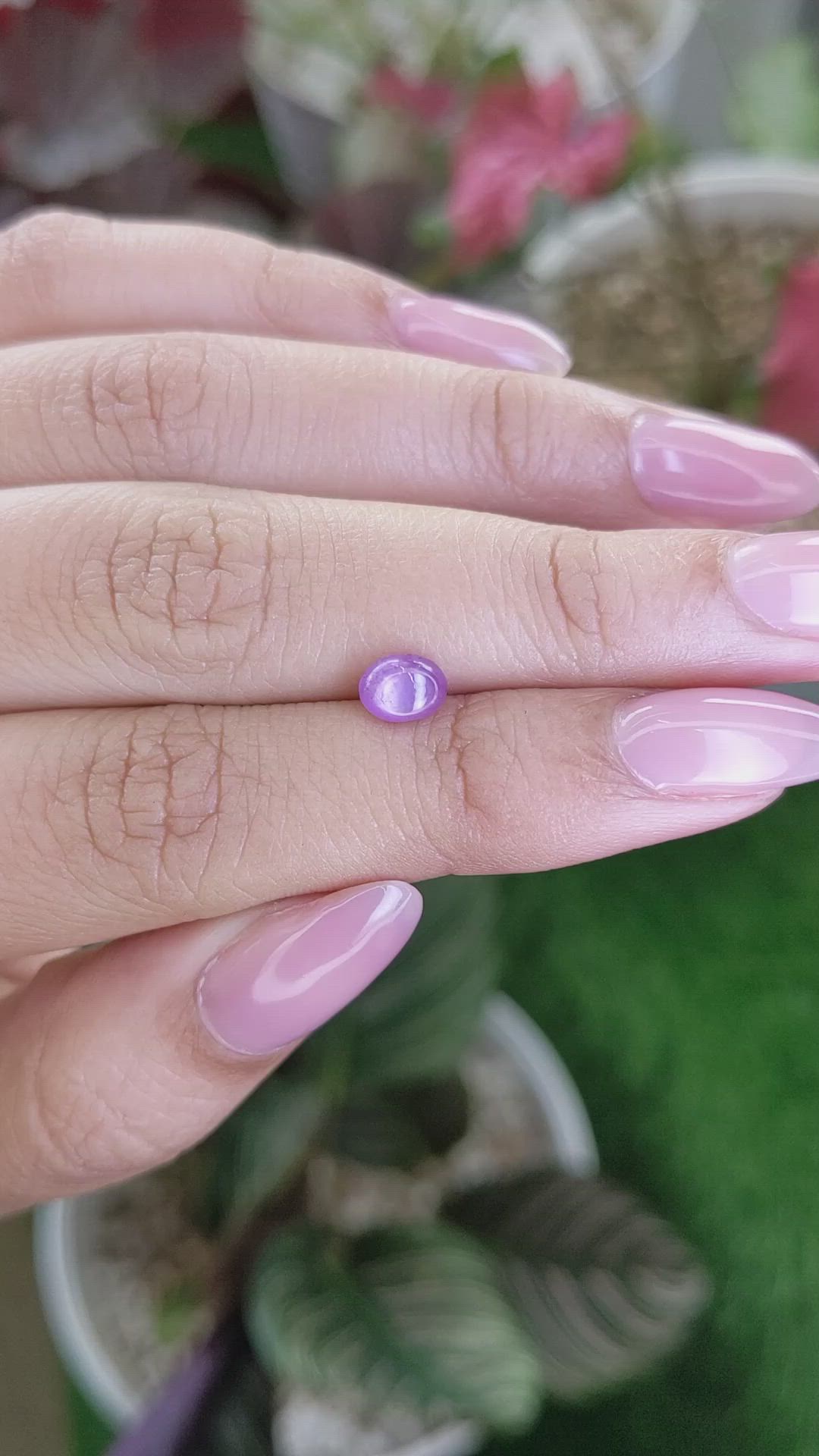 1.19 Ct. Pinkish Purple Star Sapphire from Ceylon (Sri Lanka) Size Video