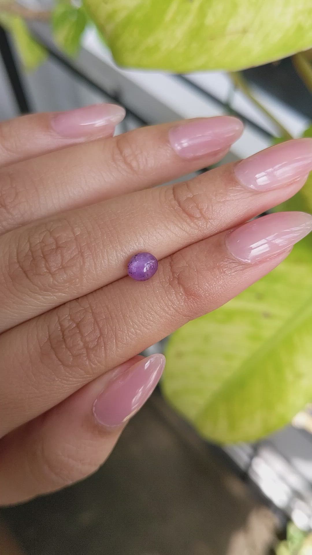 1.30 Ct. Pinkish Purple Star Sapphire from Ceylon (Sri Lanka) Size Video