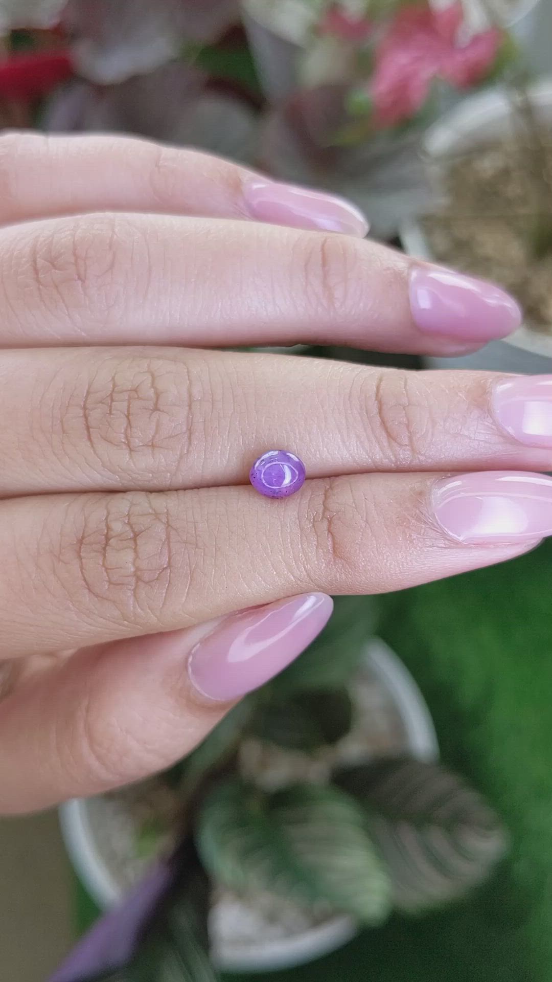 1.30 Ct. Pinkish Purple Star Sapphire from Ceylon (Sri Lanka) Size Video