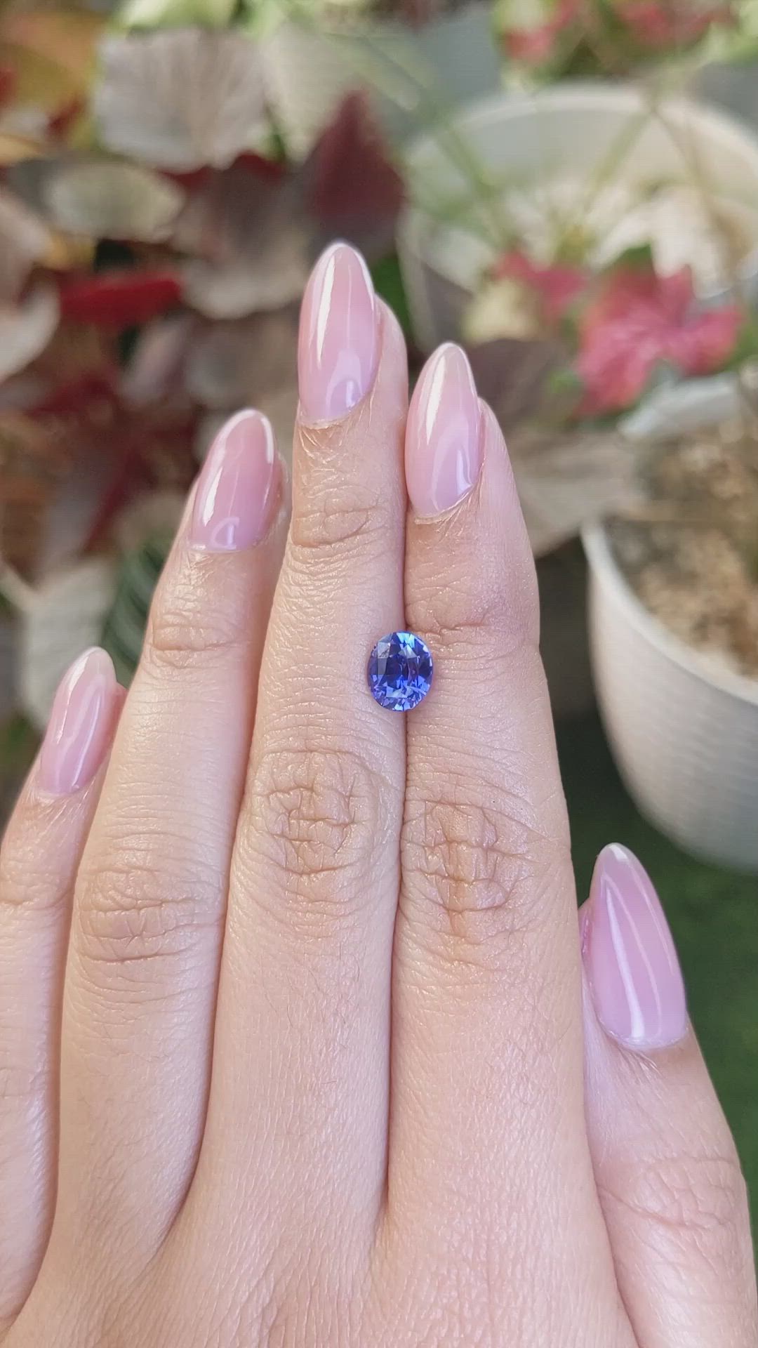 1.72 Ct. Blue Sapphire from Ceylon (Sri Lanka) Size Video