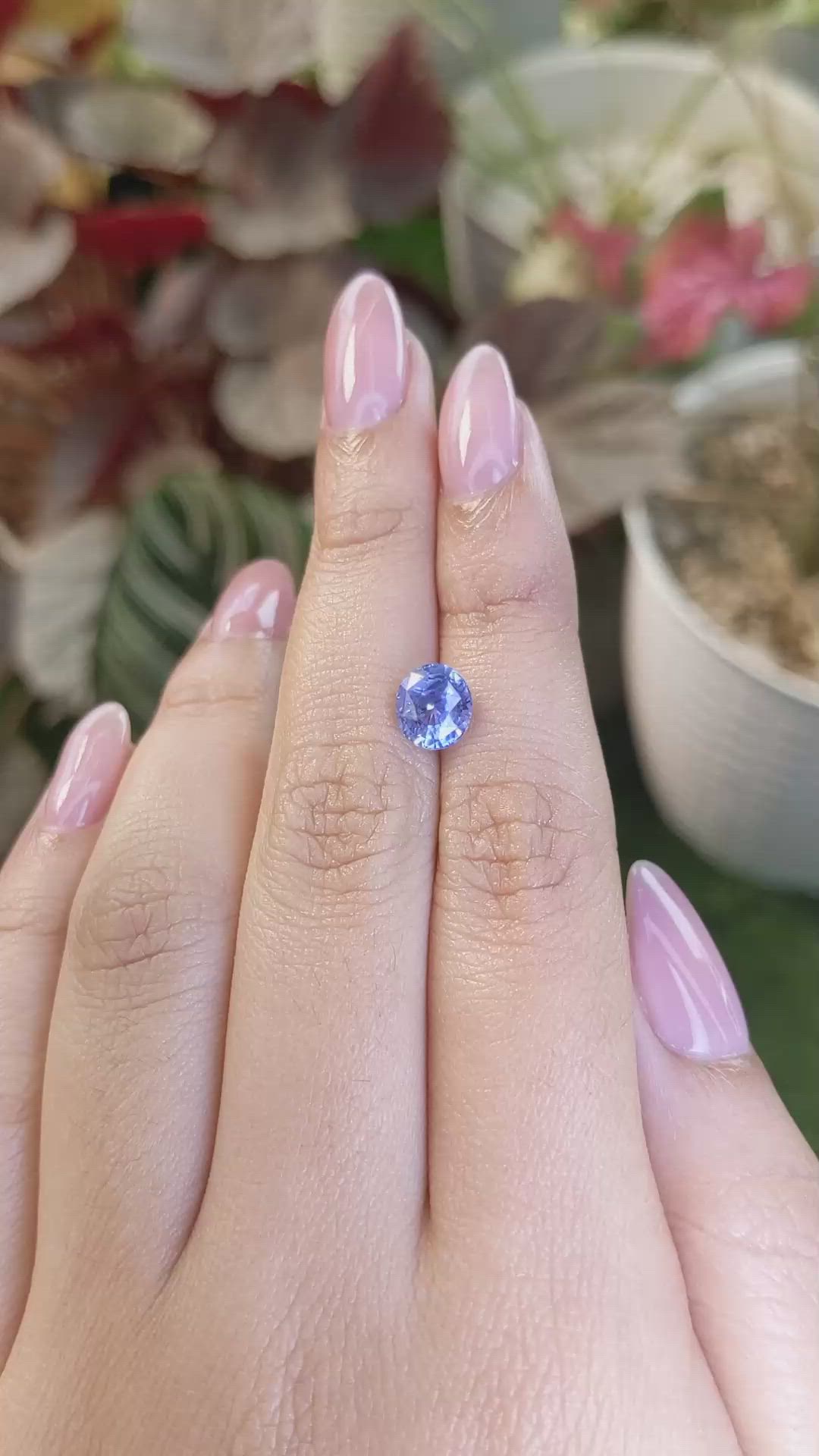 2.04 Ct. Blue Sapphire from Ceylon (Sri Lanka) Size Video