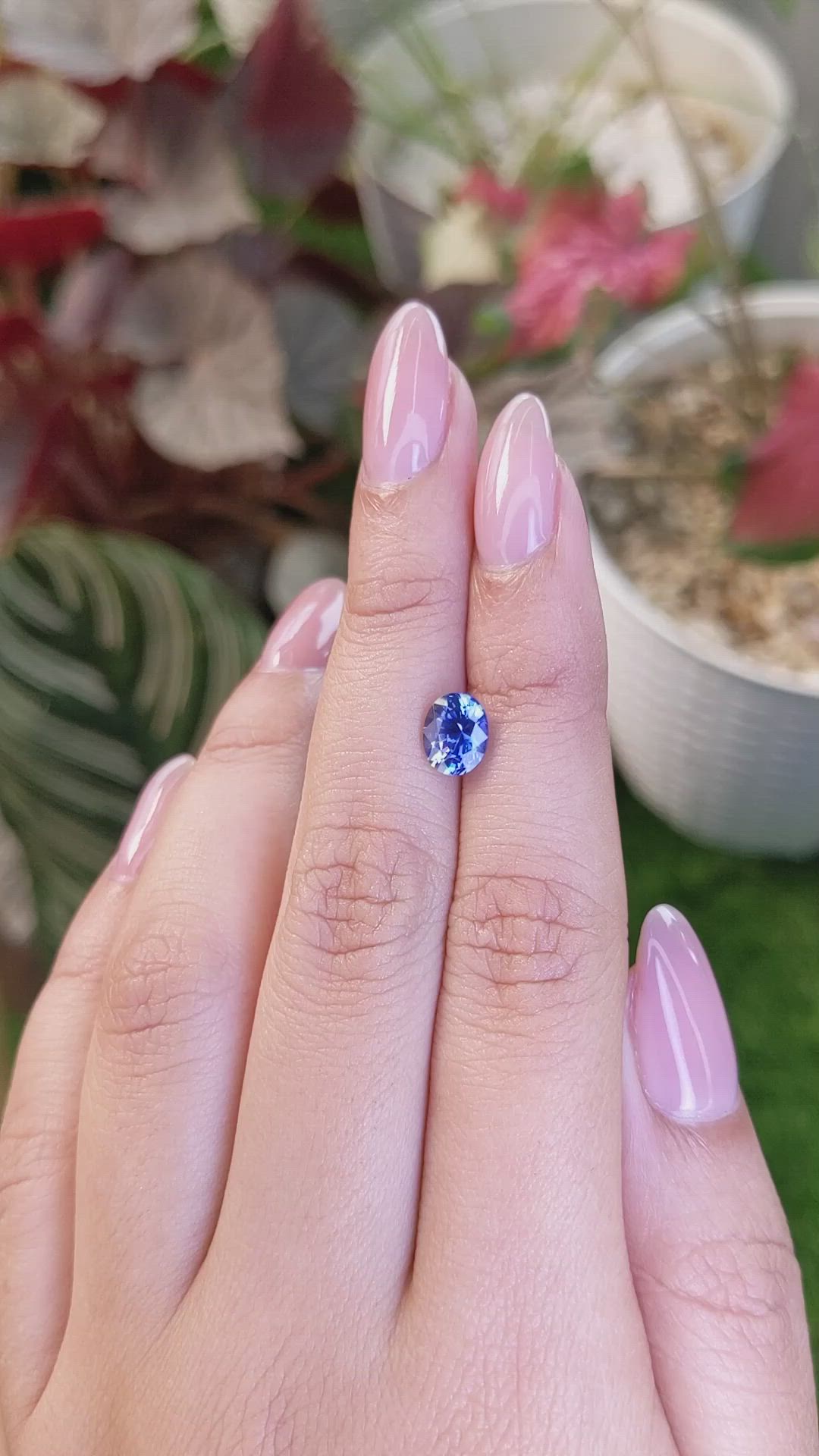 1.52 Ct. Blue Sapphire from Ceylon (Sri Lanka) Size Video