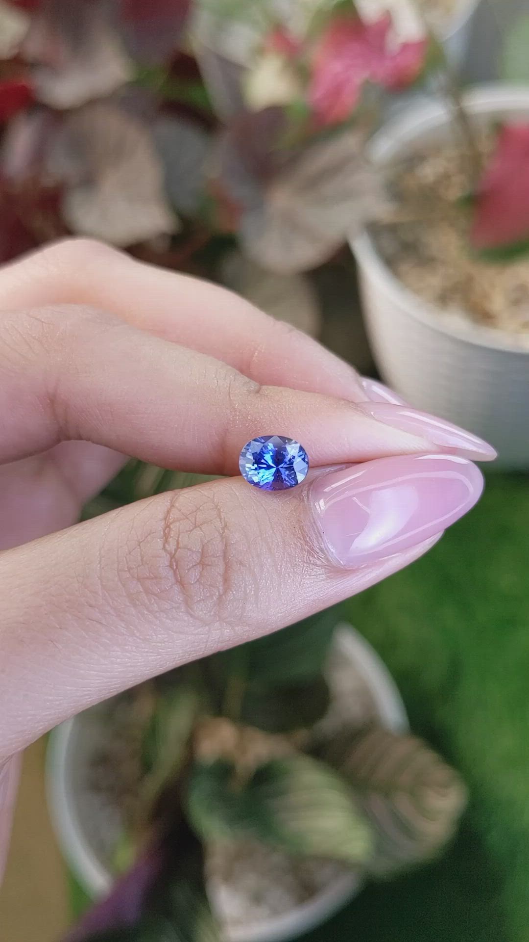 1.52 Ct. Blue Sapphire from Ceylon (Sri Lanka) Size Video