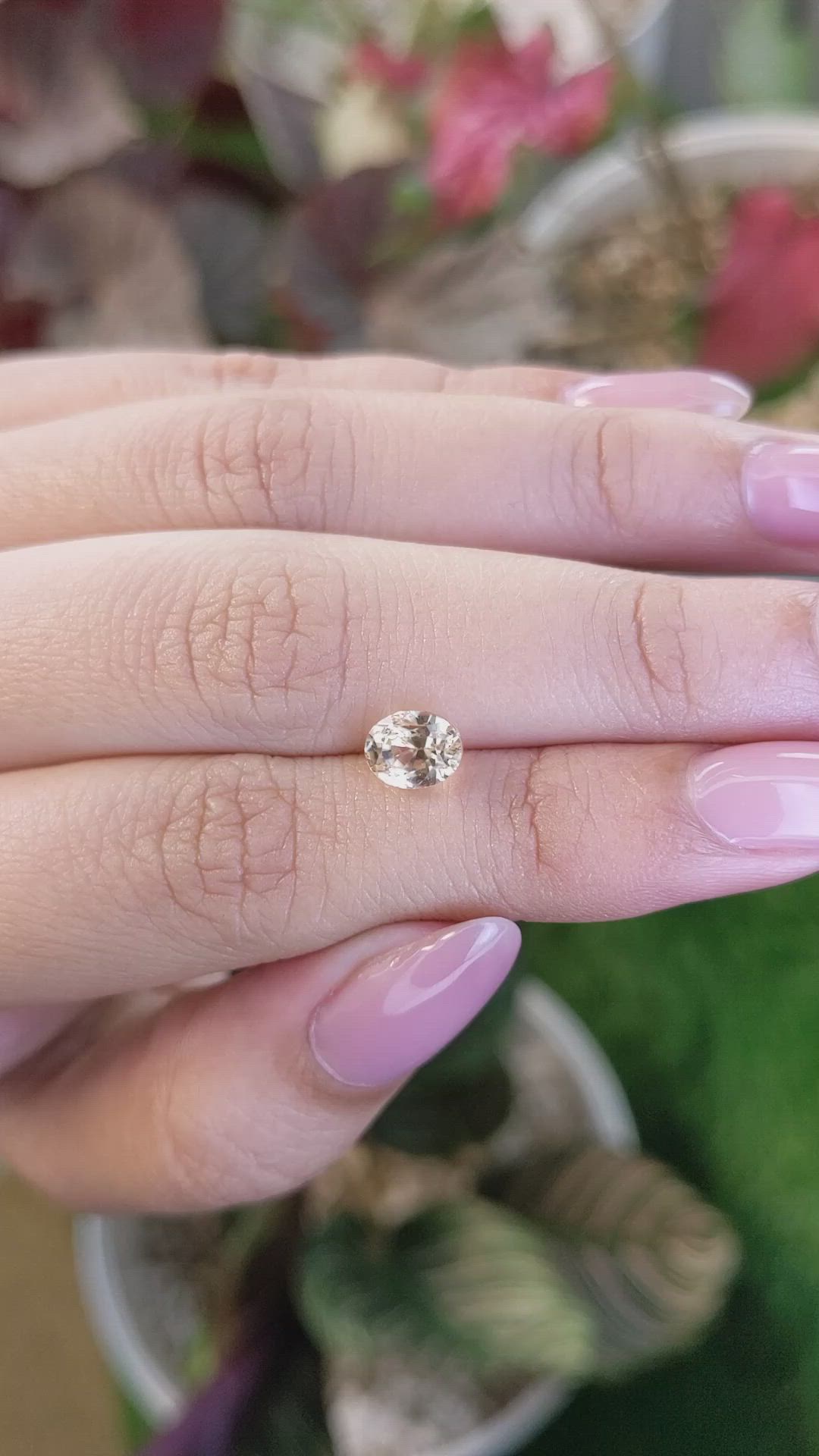 1.78 Ct. Yellow Sapphire from Ceylon (Sri Lanka) Size Video