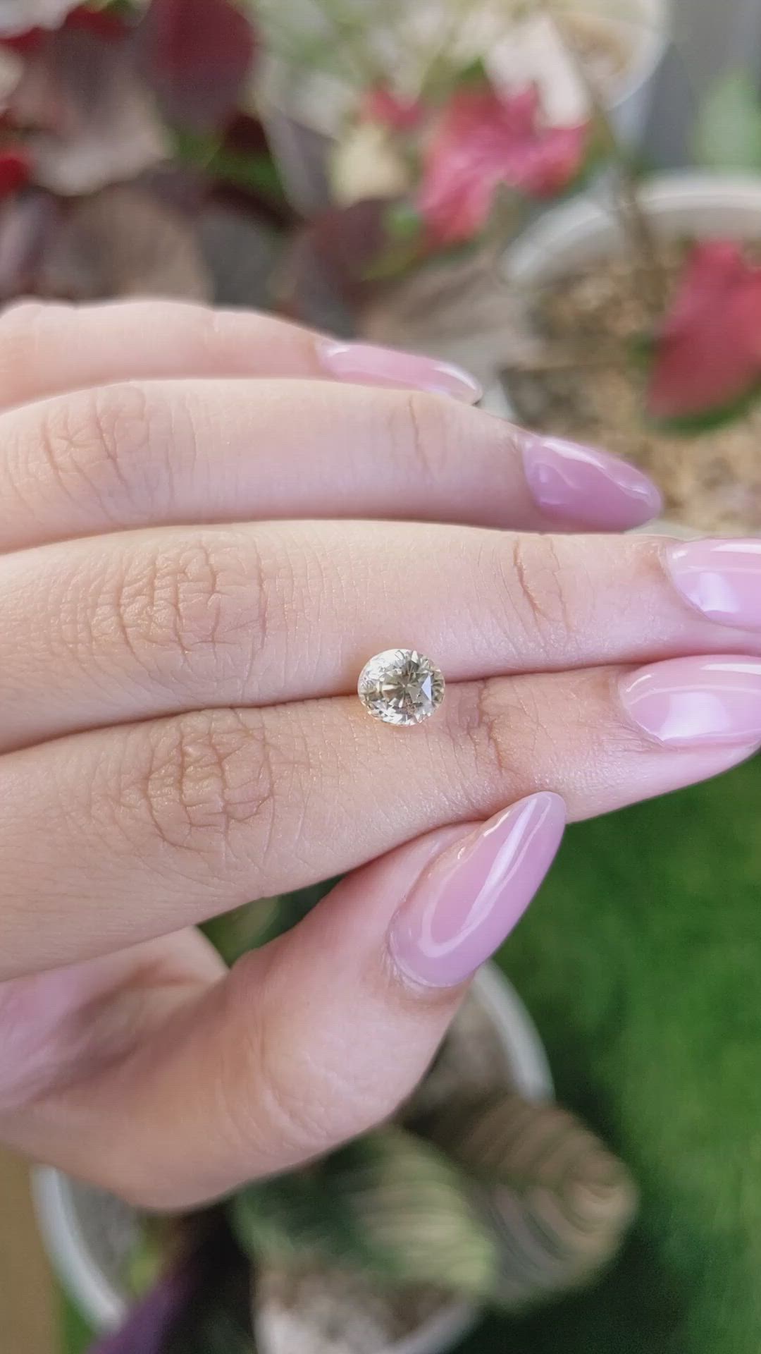 1.90 Ct. Yellow Sapphire from Ceylon (Sri Lanka) Size Video