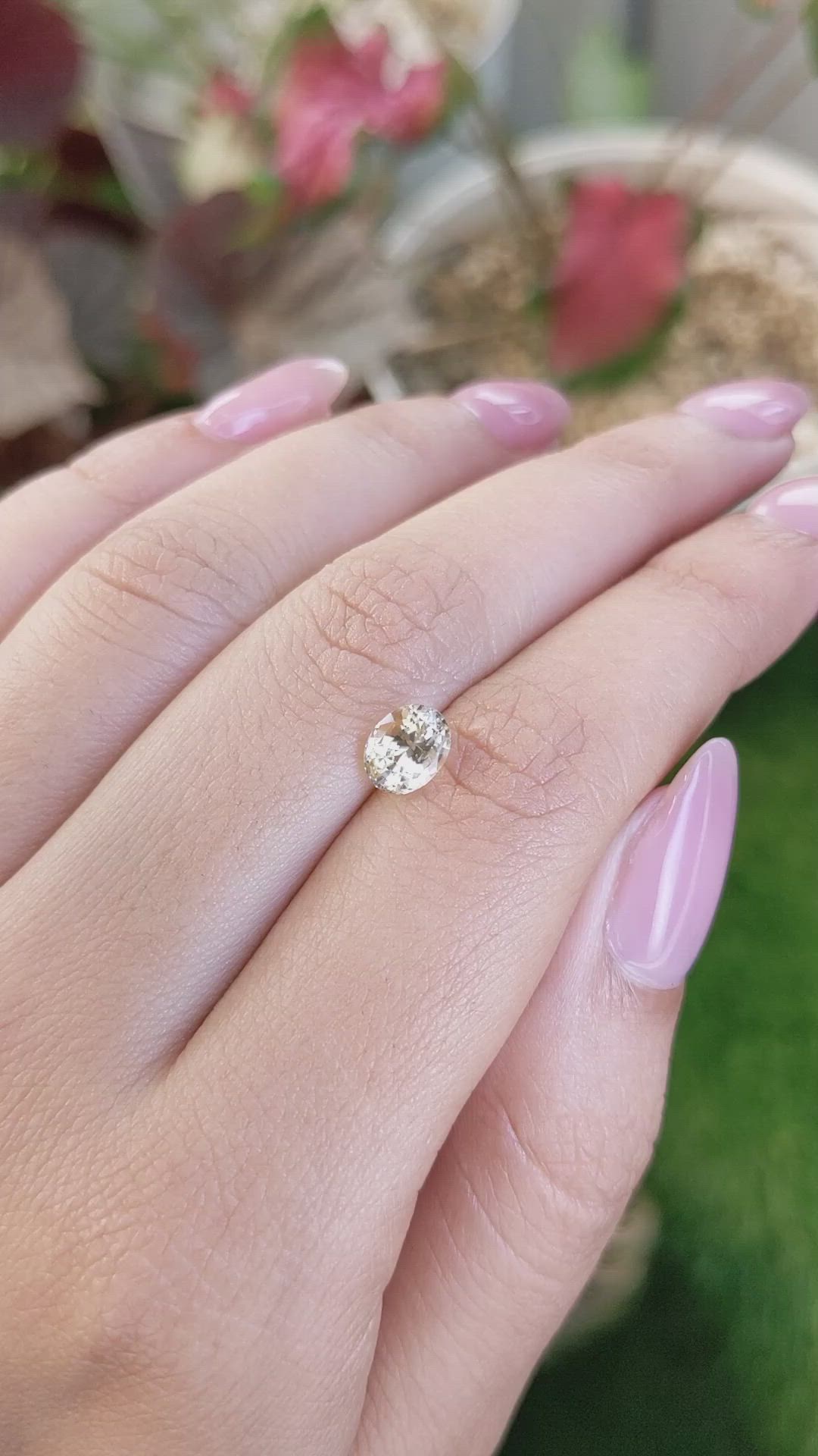 1.55 Ct. Yellow Sapphire from Ceylon (Sri Lanka) Size Video