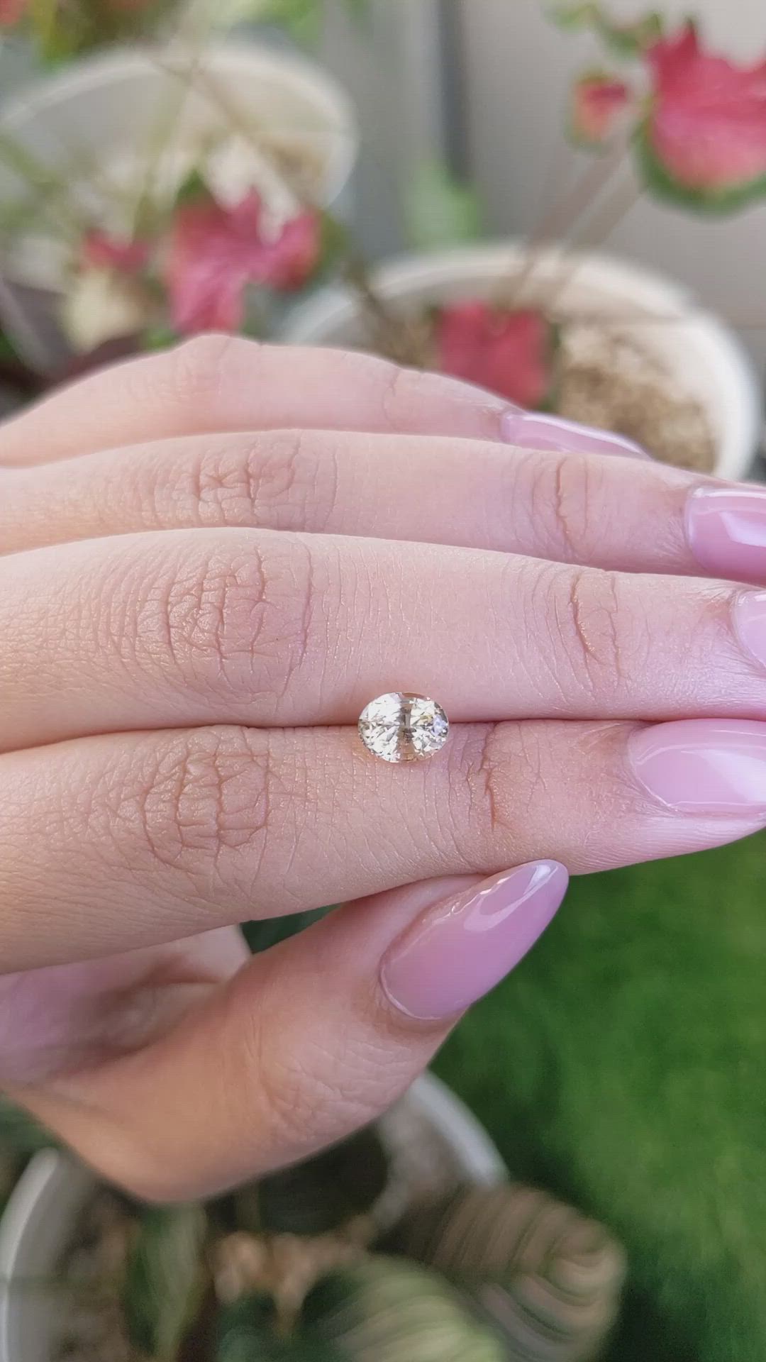 1.55 Ct. Yellow Sapphire from Ceylon (Sri Lanka) Size Video