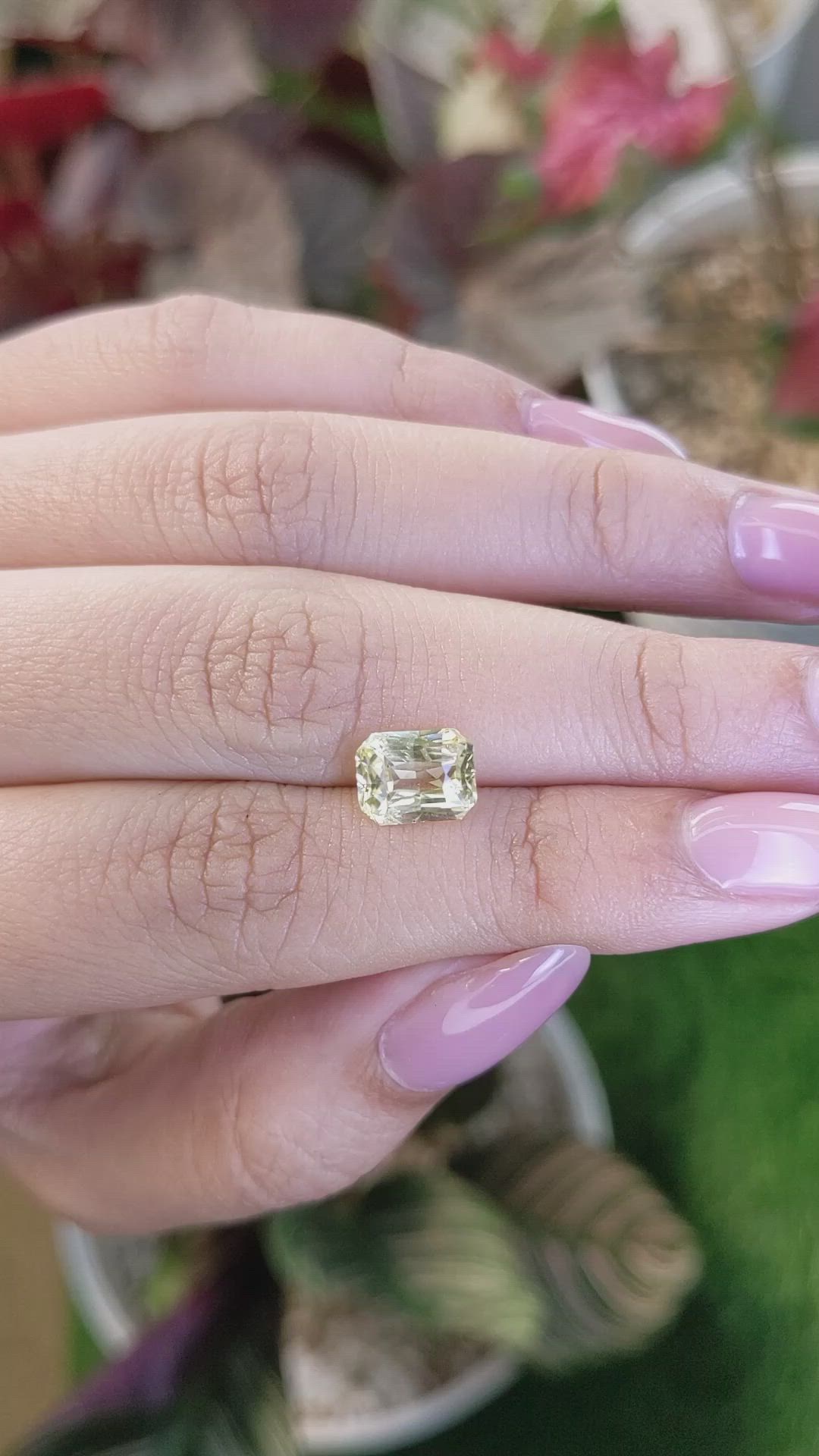 2.50 Ct. Yellow Sapphire from Ceylon (Sri Lanka) Size Video