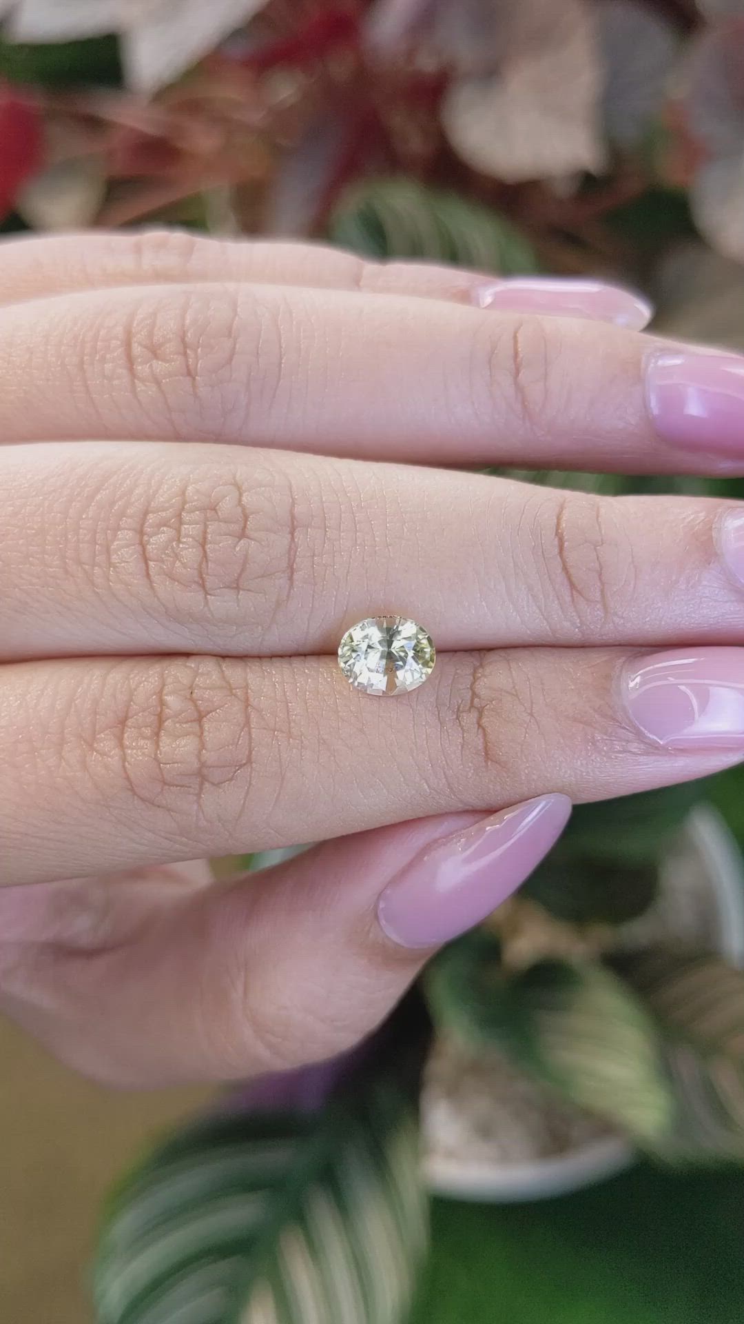 1.53 Ct. Yellow Sapphire from Ceylon (Sri Lanka) Size Video