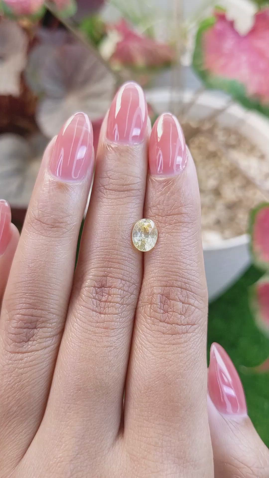 1.63 Ct. Yellow Sapphire from Ceylon (Sri Lanka) Size Video