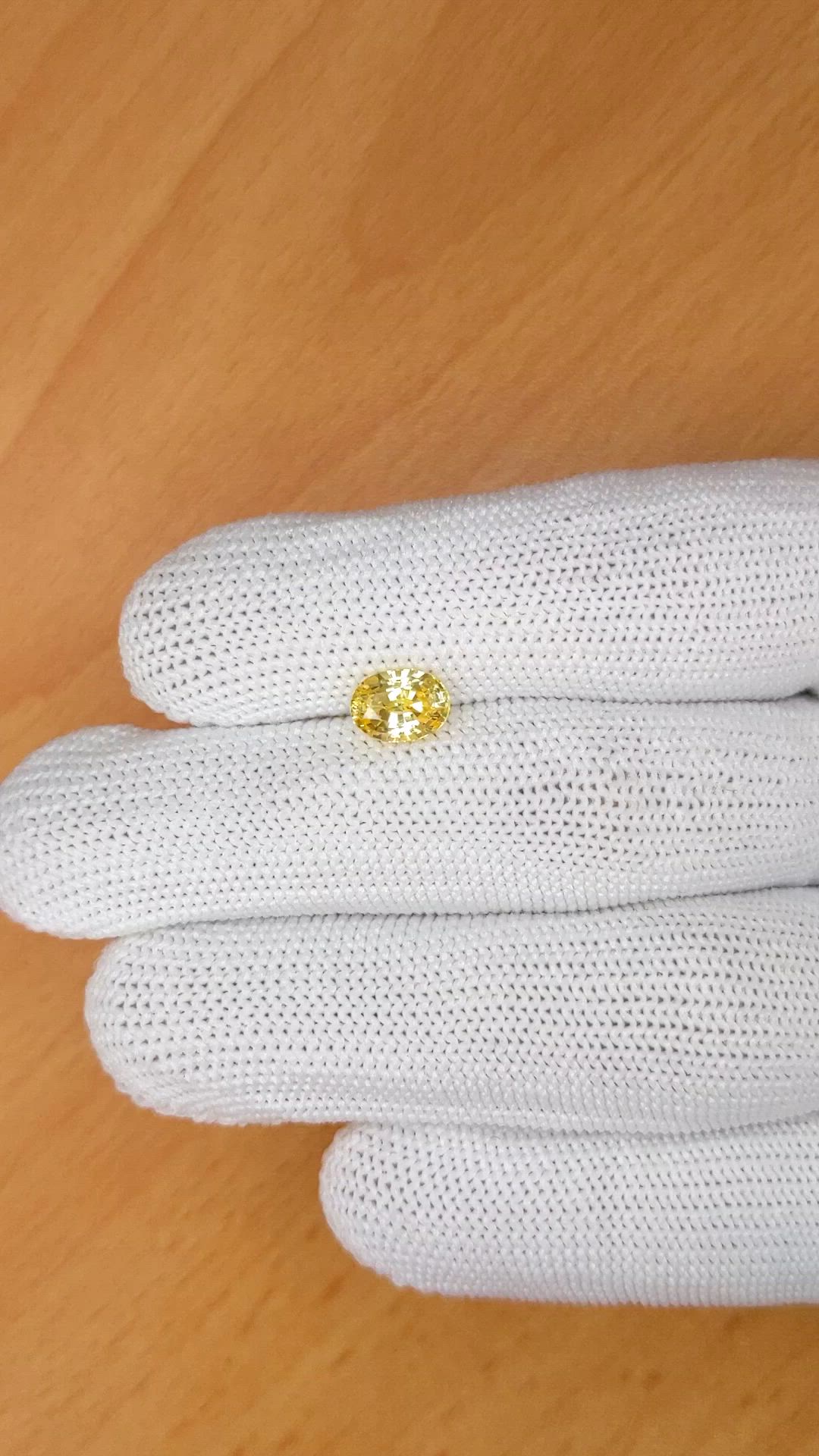 1.60 Ct. Yellow Sapphire from Ceylon (Sri Lanka) Size Video
