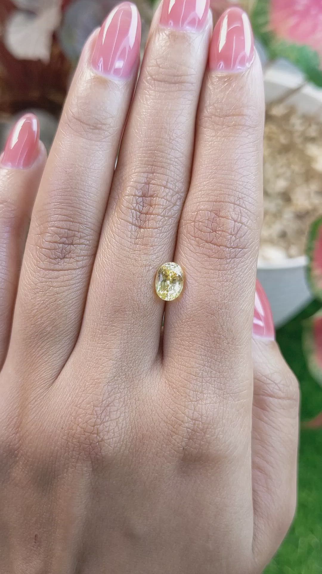 1.60 Ct. Yellow Sapphire from Ceylon (Sri Lanka) Size Video