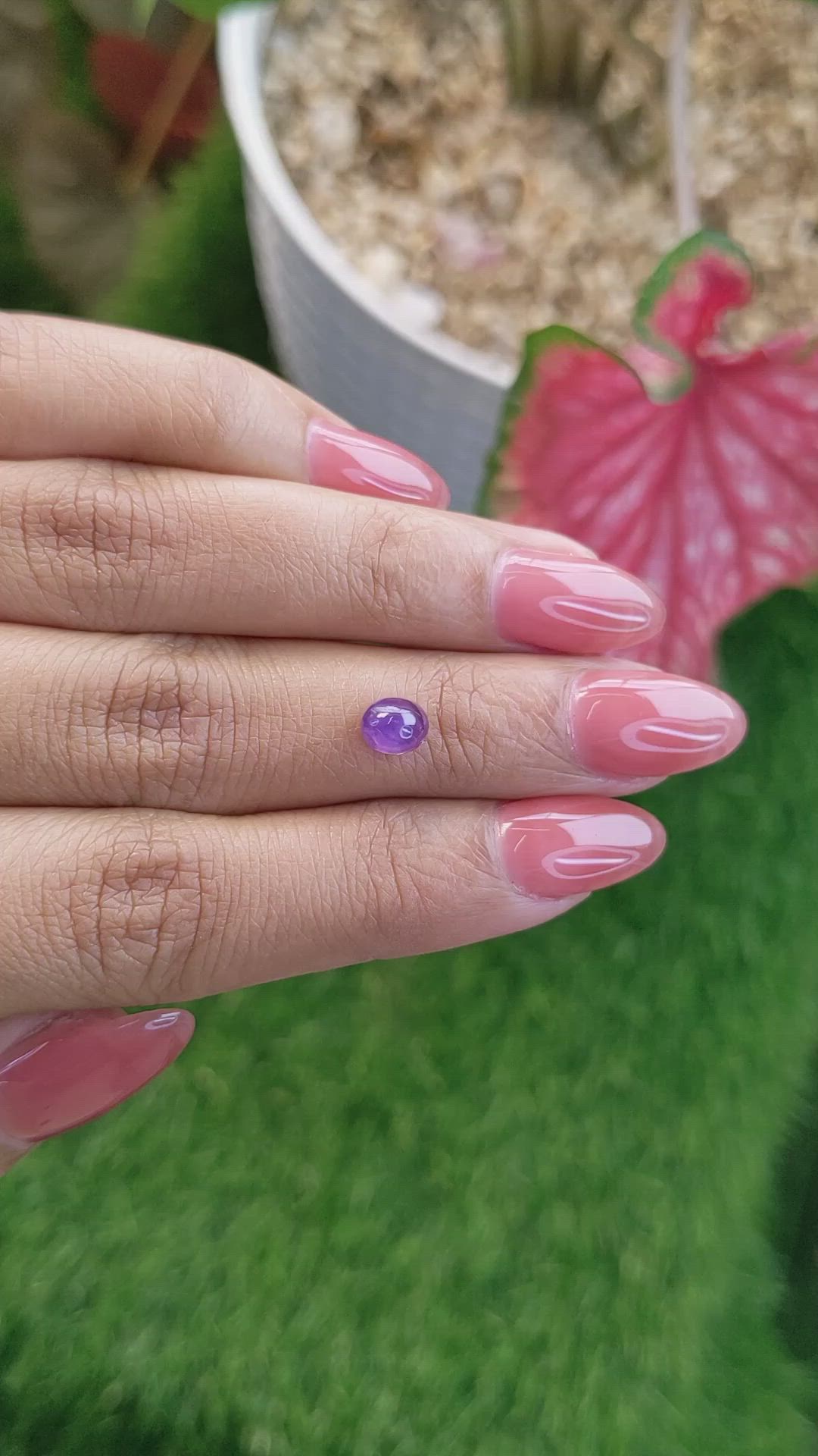 1.15 Ct. Purple Star Sapphire from Ceylon (Sri Lanka) Size Video