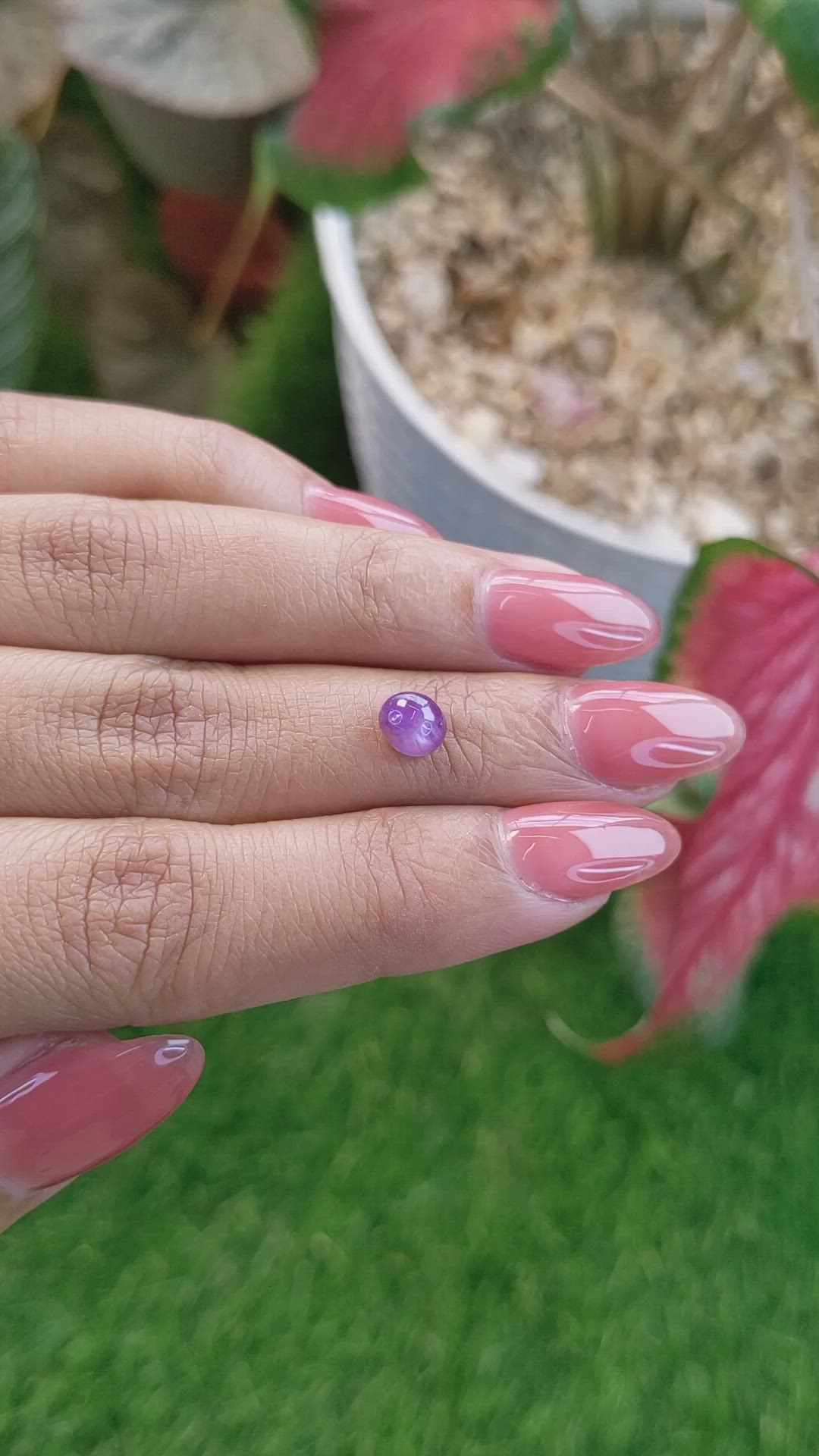 1.64 Ct. Pinkish Purple Star Sapphire from Ceylon (Sri Lanka) Size Video