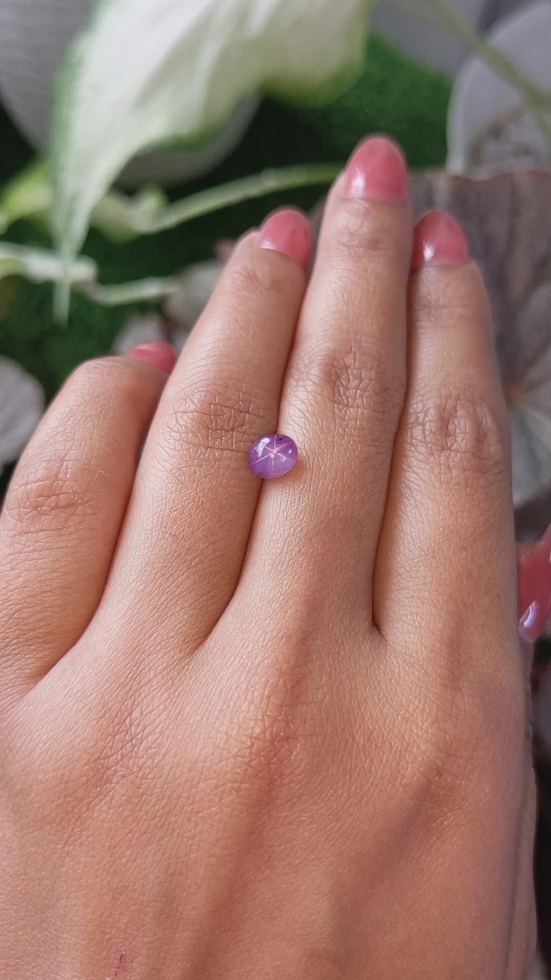 1.64 Ct. Pinkish Purple Star Sapphire from Ceylon (Sri Lanka) Size Video