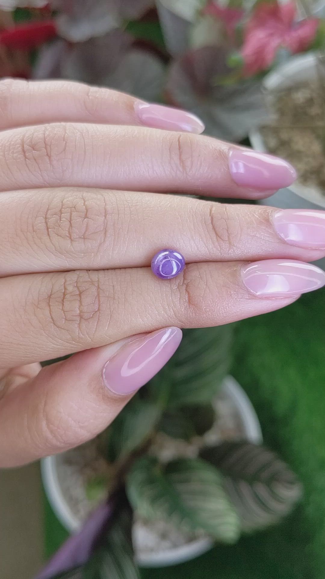 2.06 Ct. Pinkish Purple Star Sapphire from Ceylon (Sri Lanka) Size Video