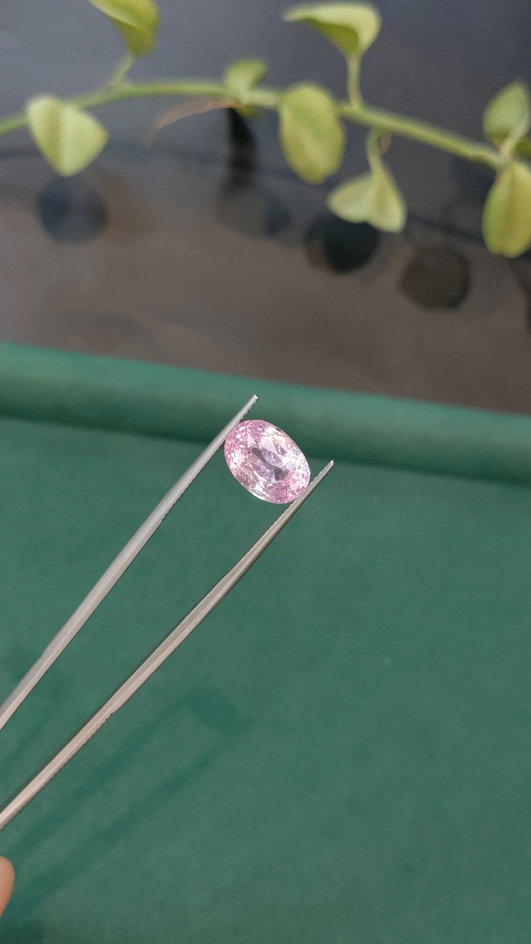 7.06 Ct. Pink Sapphire from Ceylon (Sri Lanka) Size Video